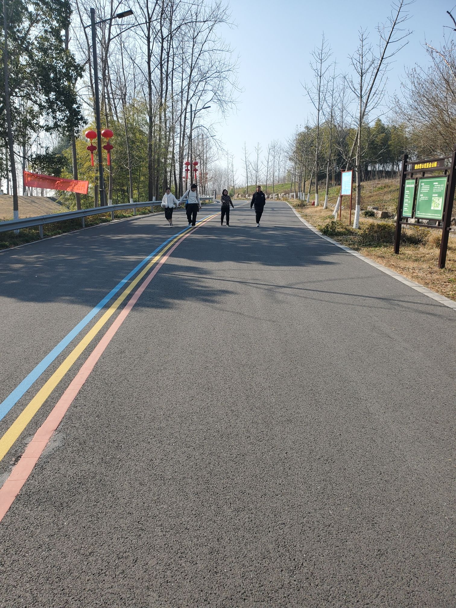 龙山森林公园旅行图片 3