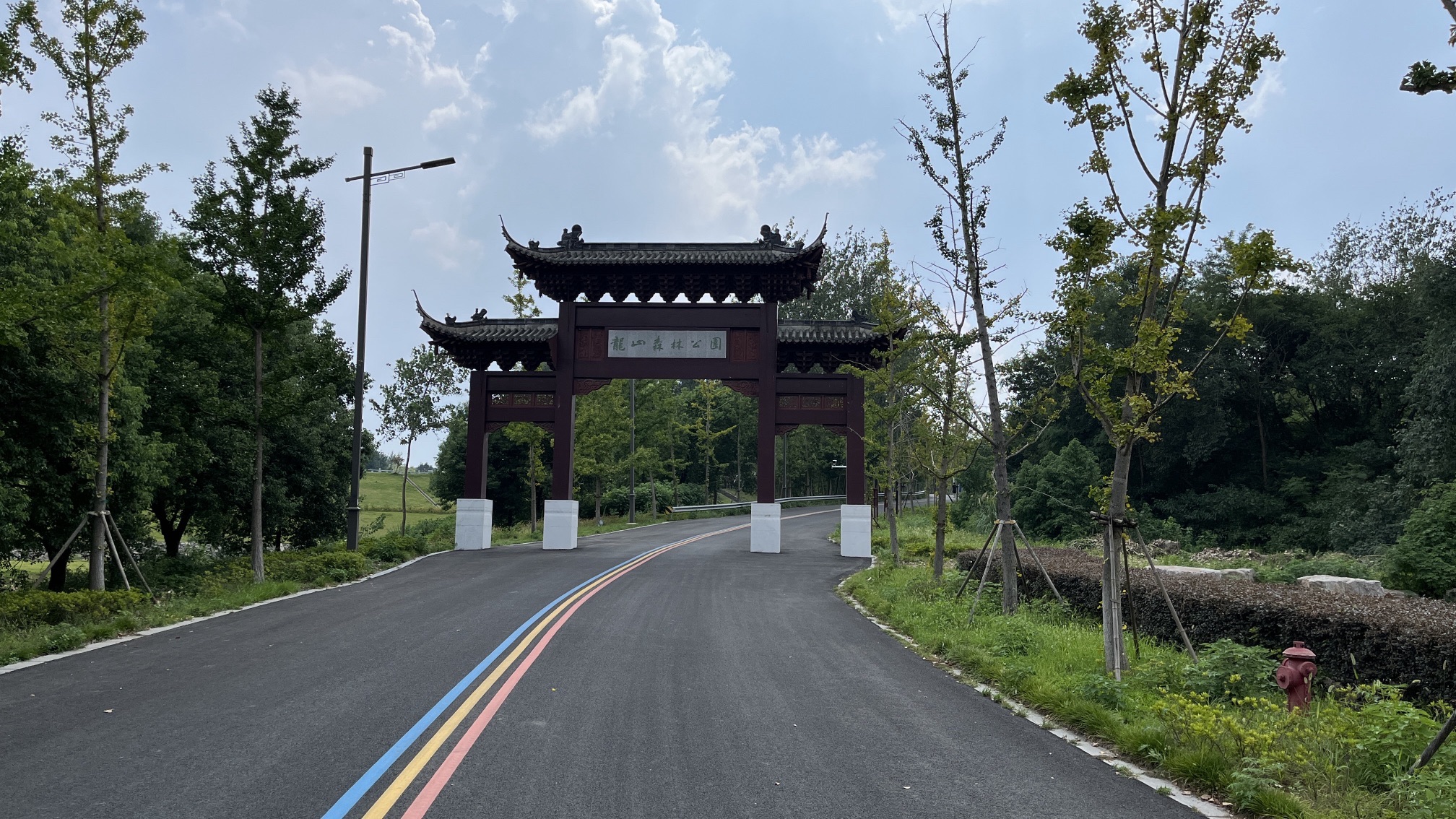龙山森林公园旅行图片 1