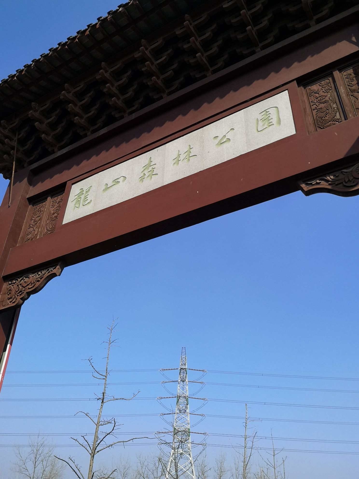 龙山森林公园旅行图片 2