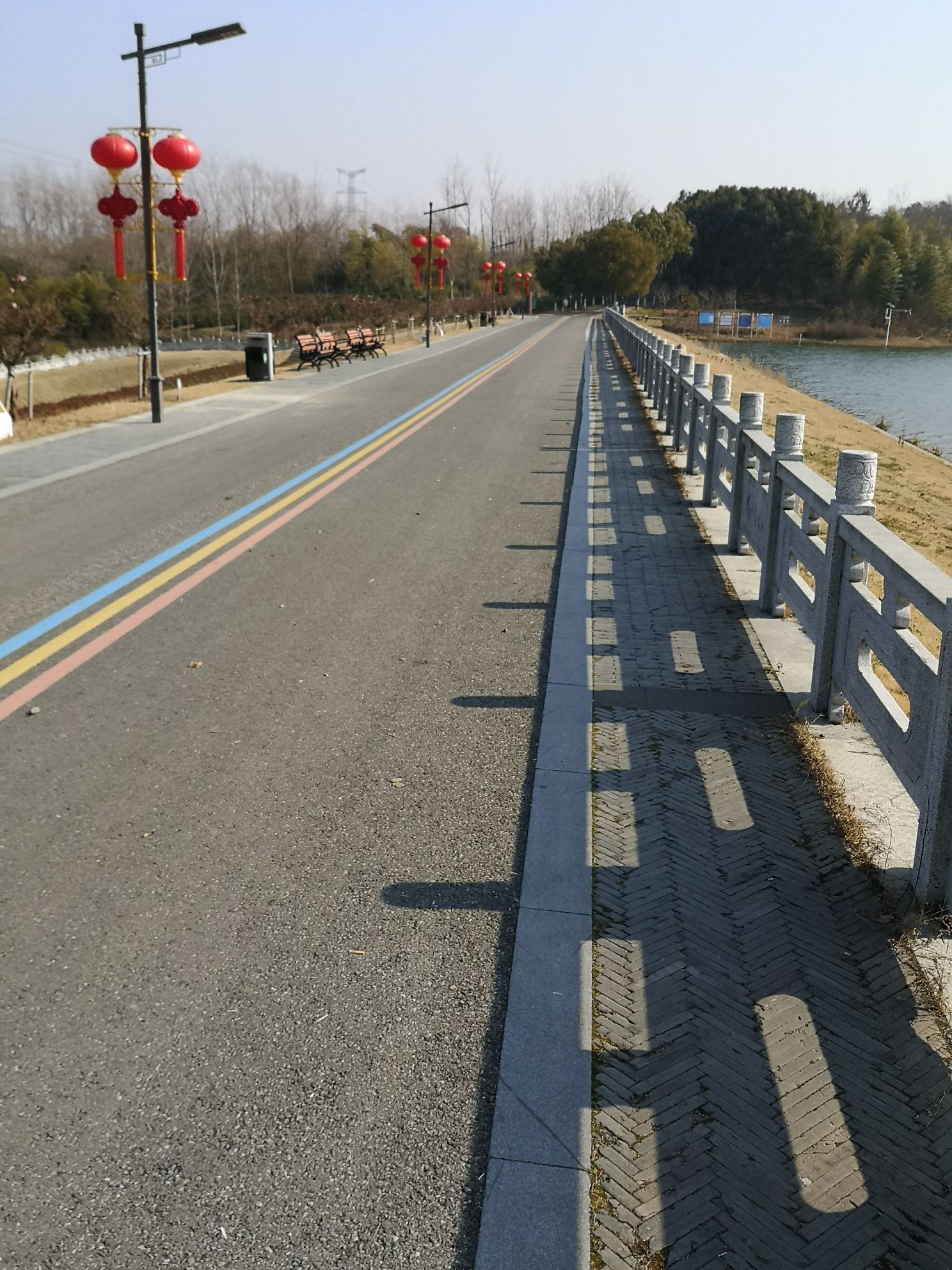 龙山森林公园旅行图片 3