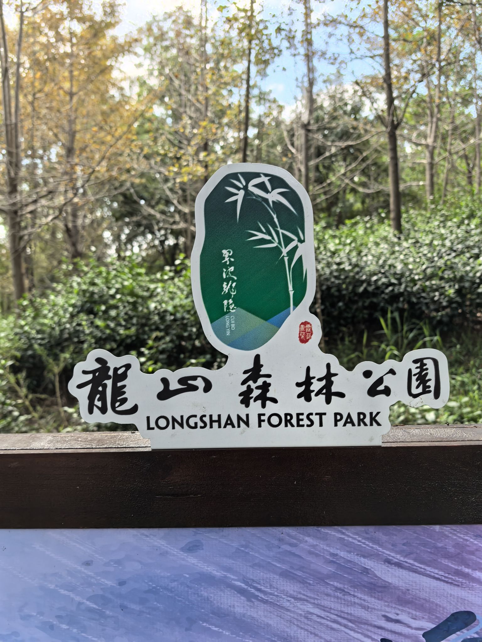 龙山森林公园旅行图片 2