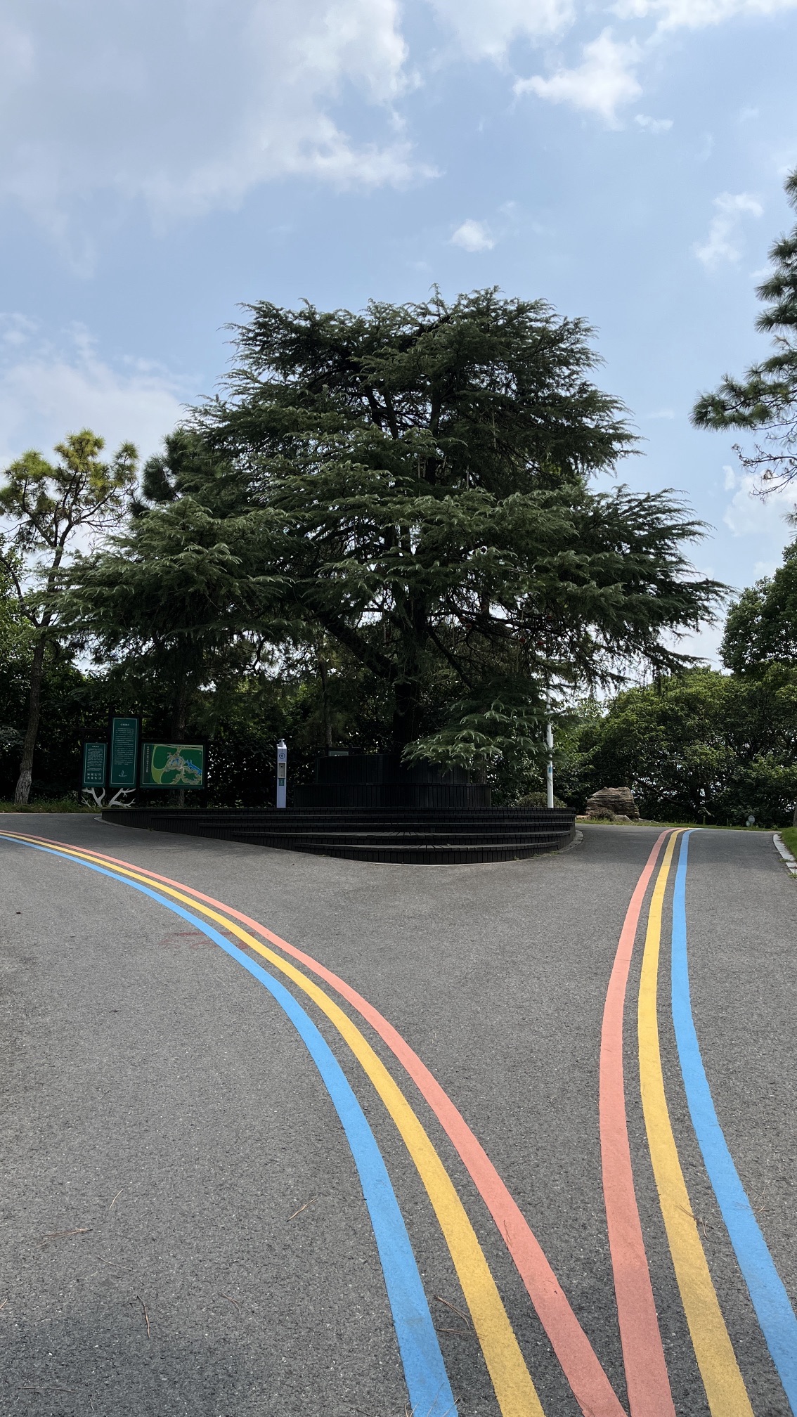 龙山森林公园旅行图片 3