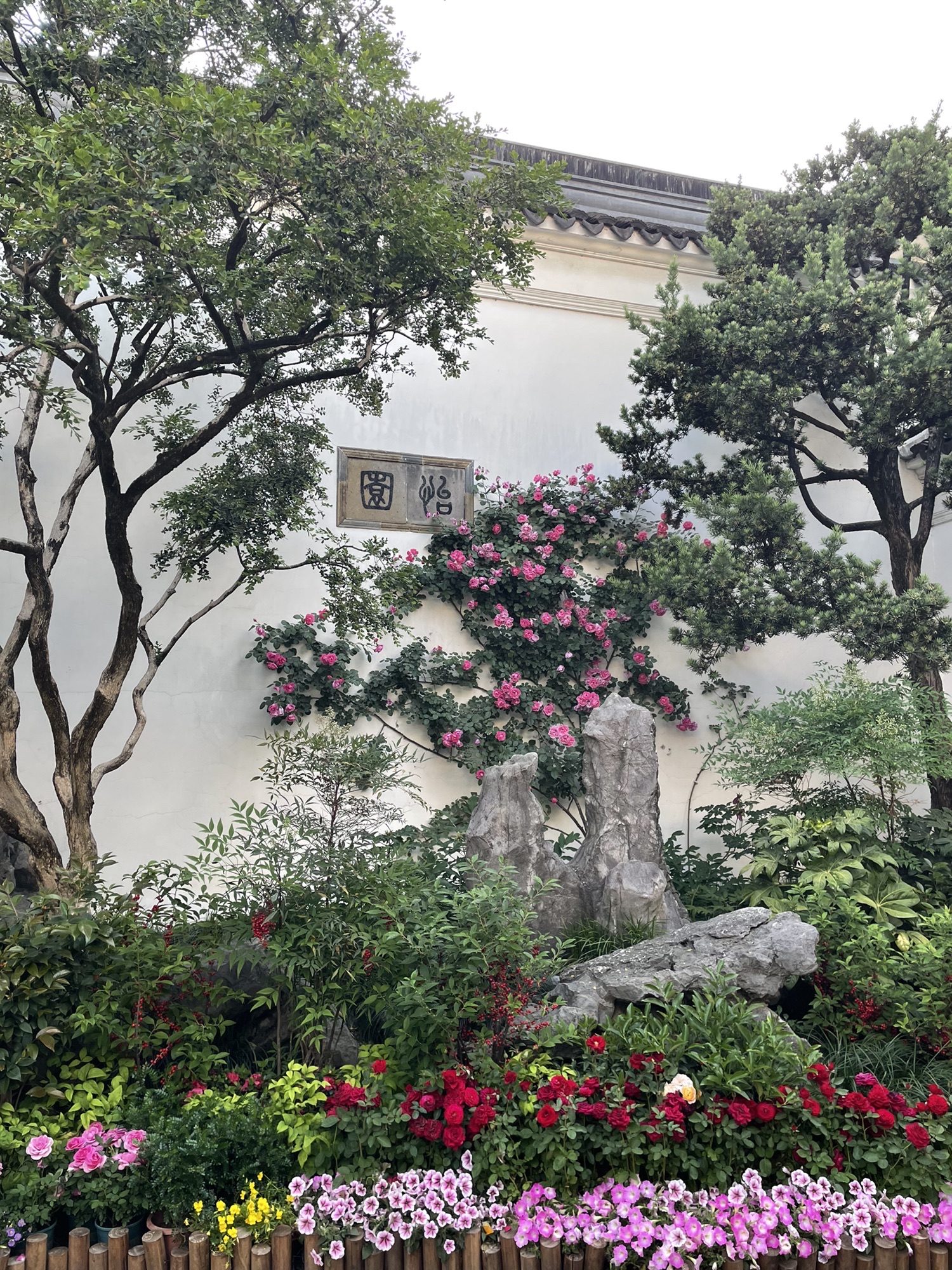 怡园旅行图片 1