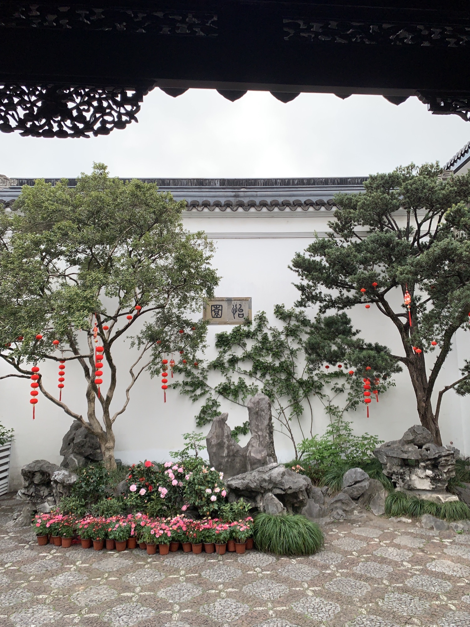怡园旅行图片 1