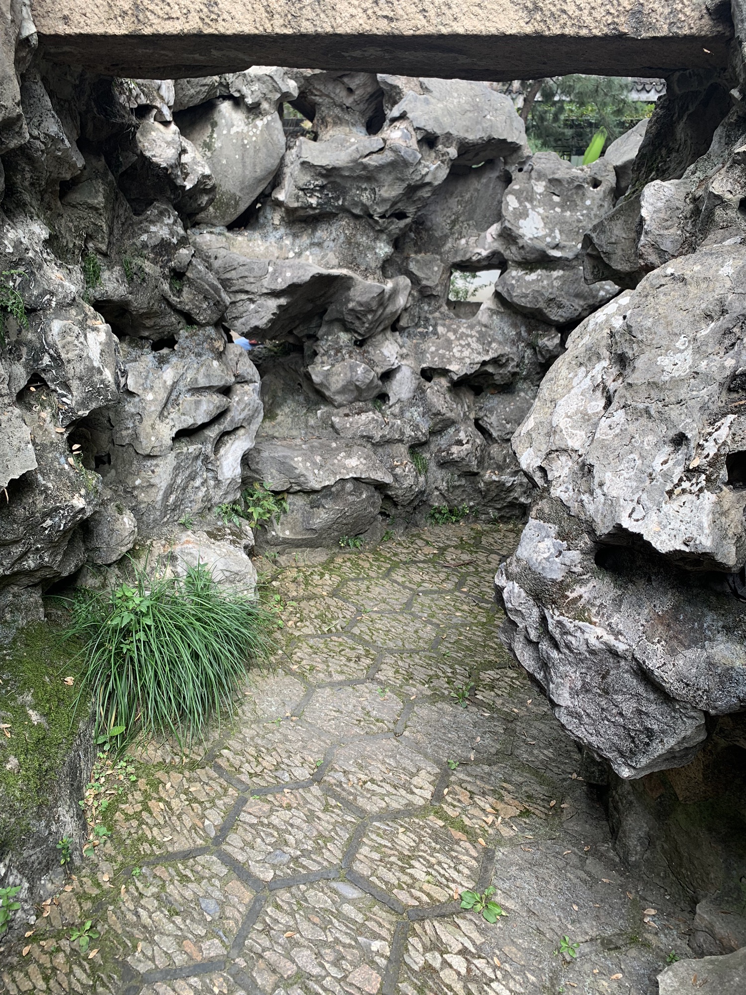 怡园旅行图片 2