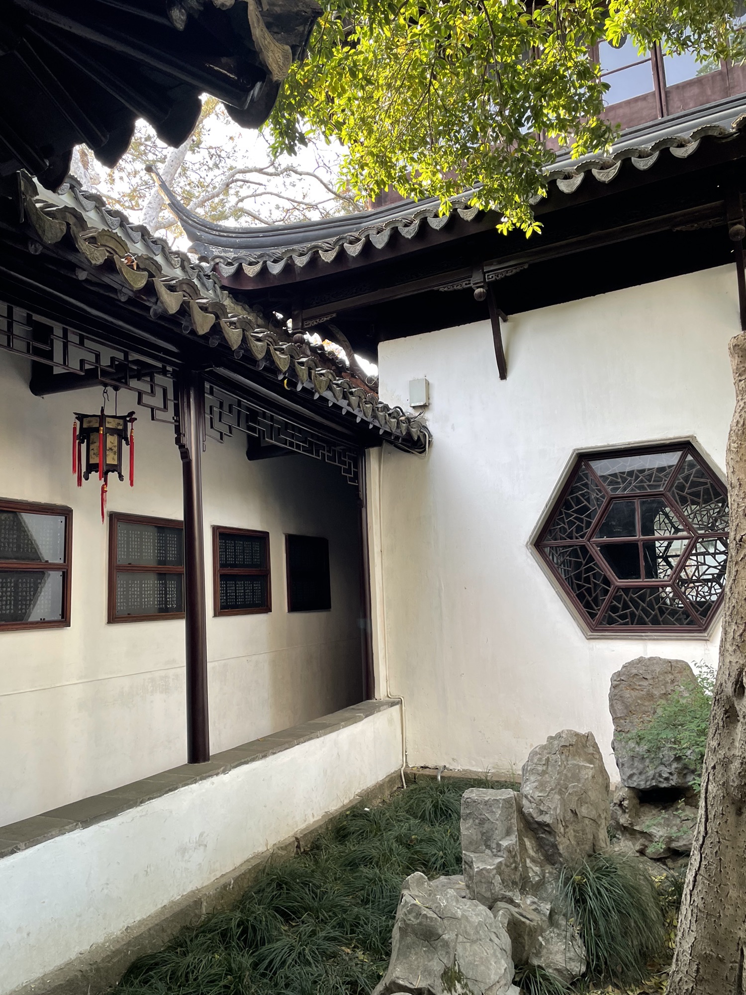 怡园旅行图片 2