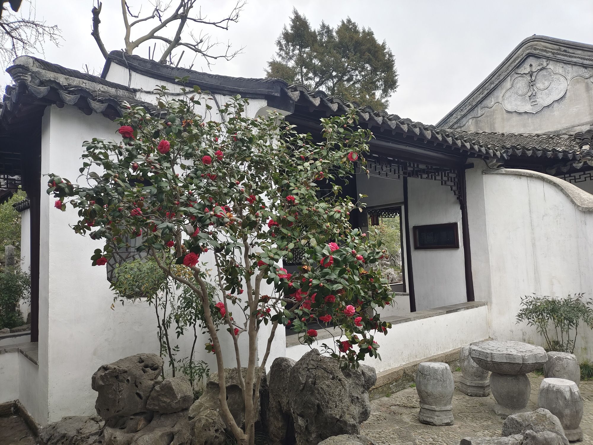 怡园旅行图片 3