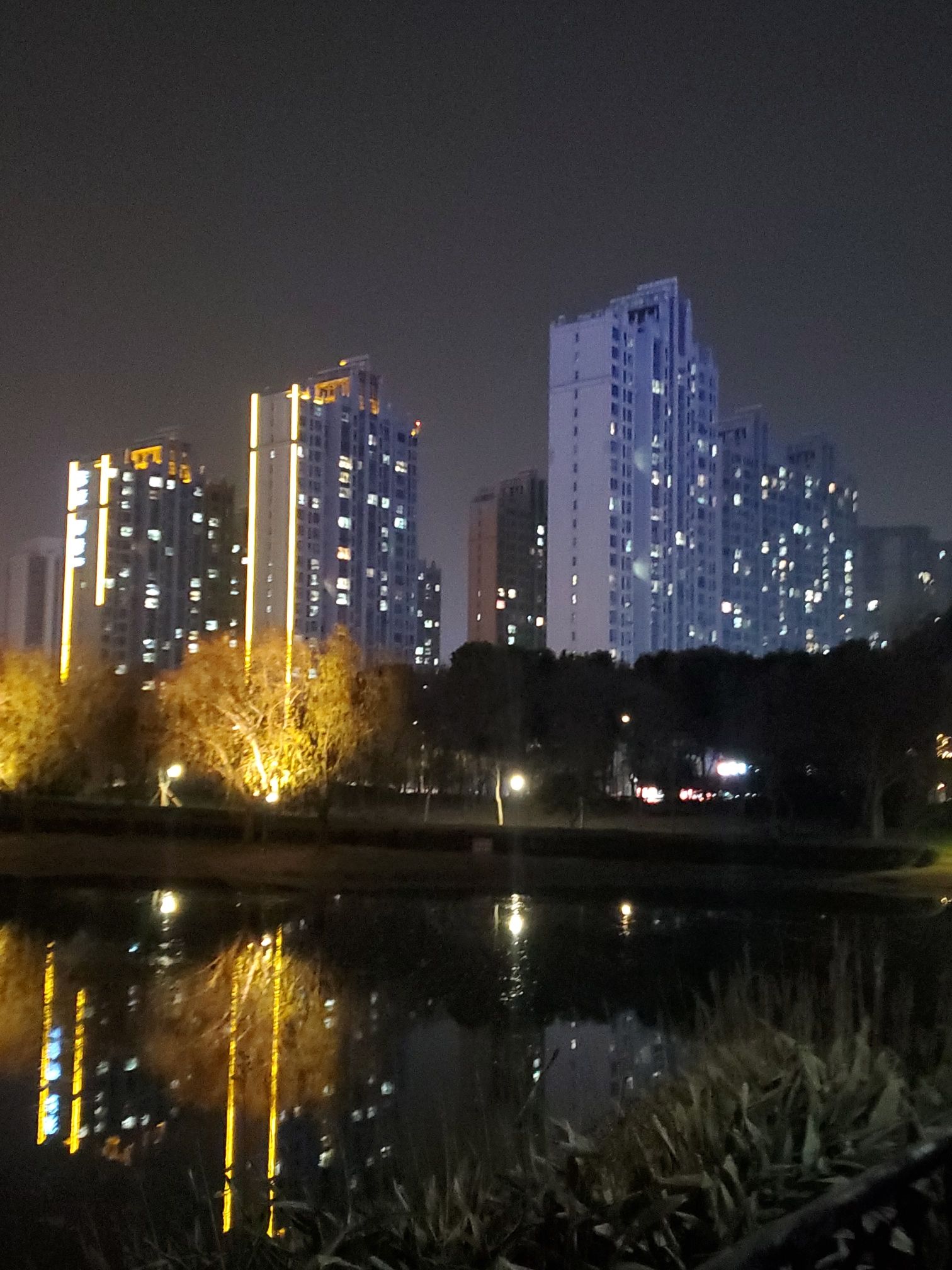 东园旅行图片 2