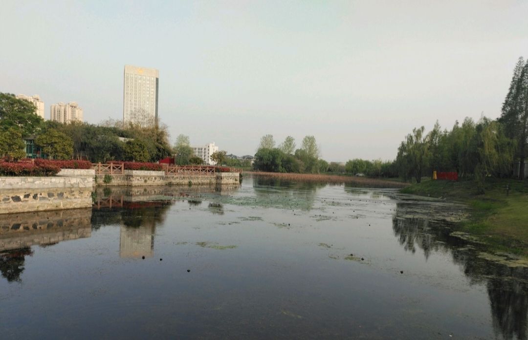 东园旅行图片 1