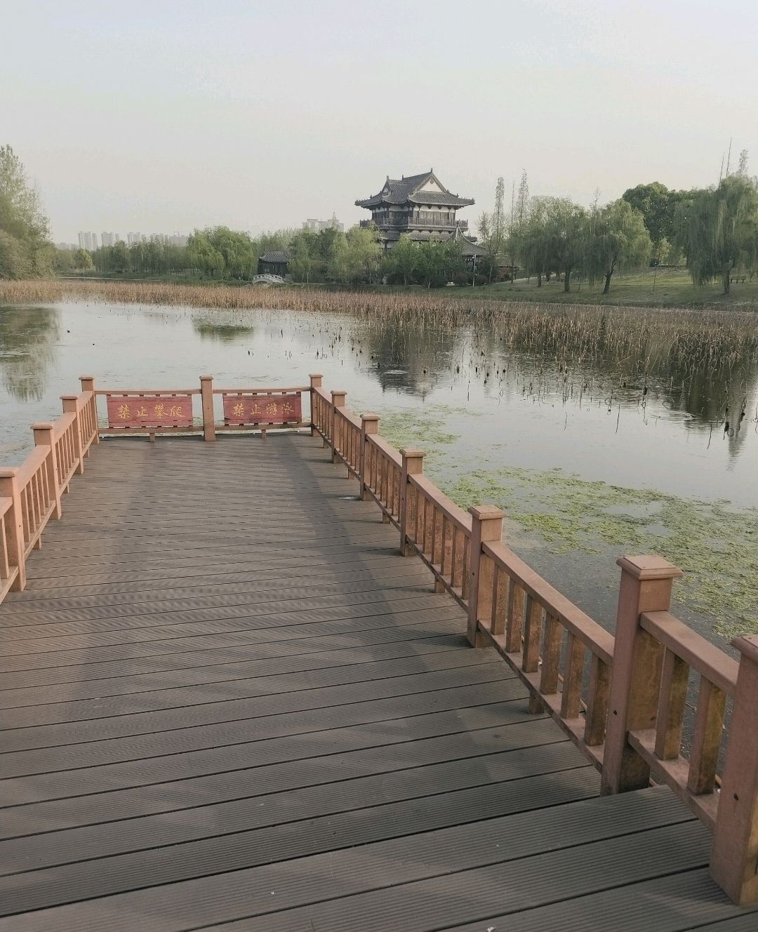 东园旅行图片 2