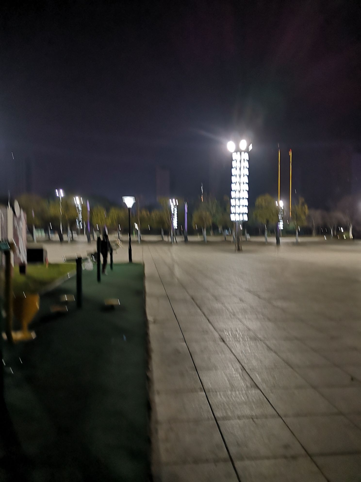 东园旅行图片 1