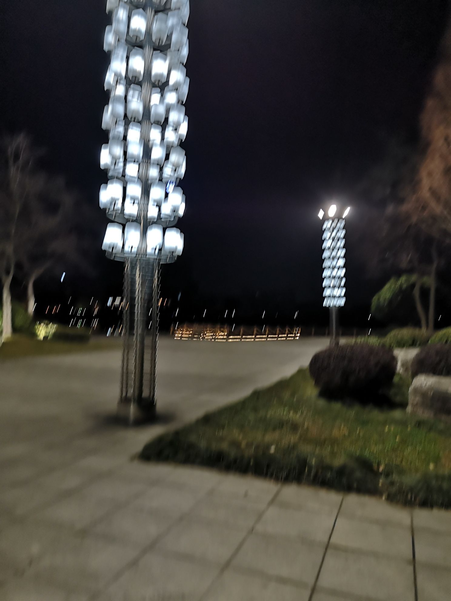 东园旅行图片 3