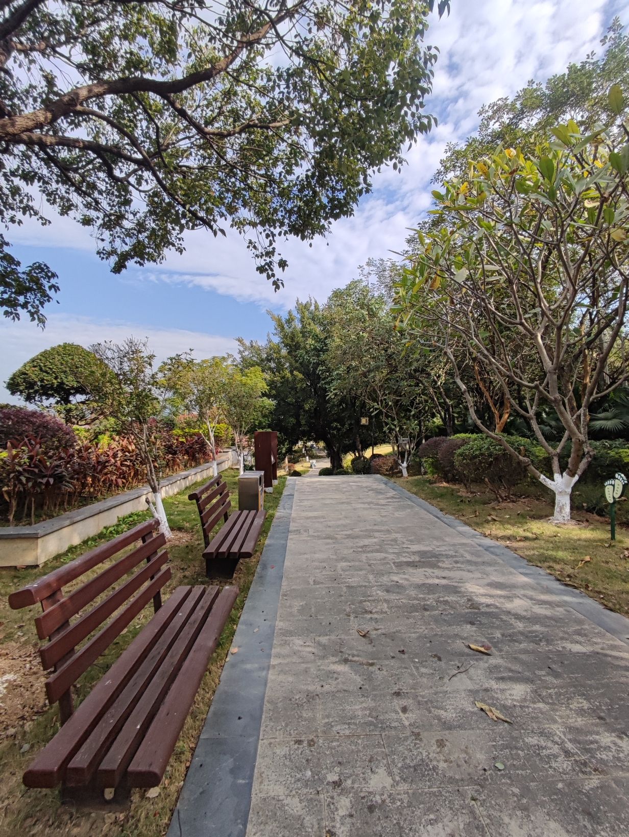 梅山公园旅行图片 2