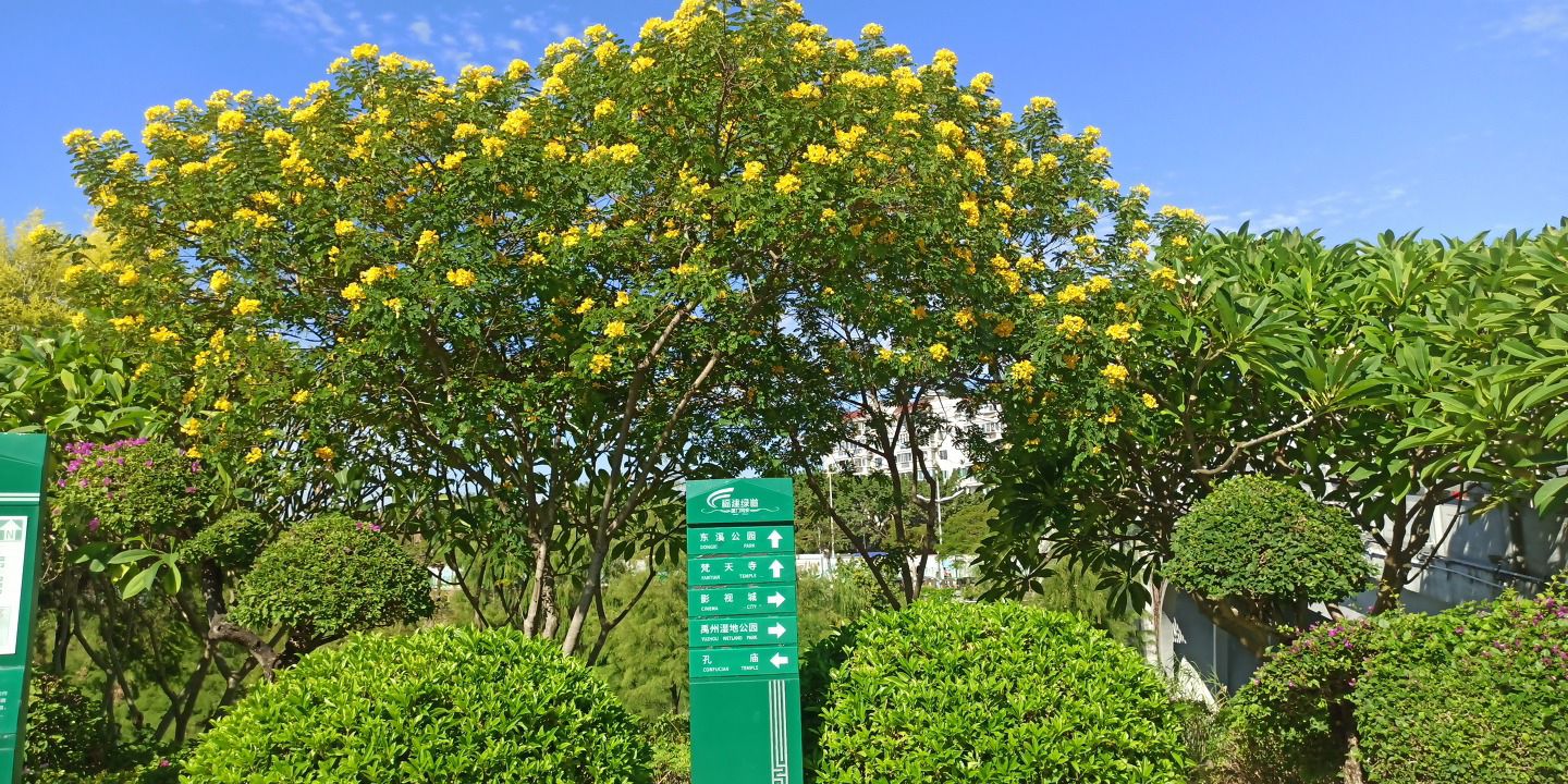梅山公园旅行图片 2