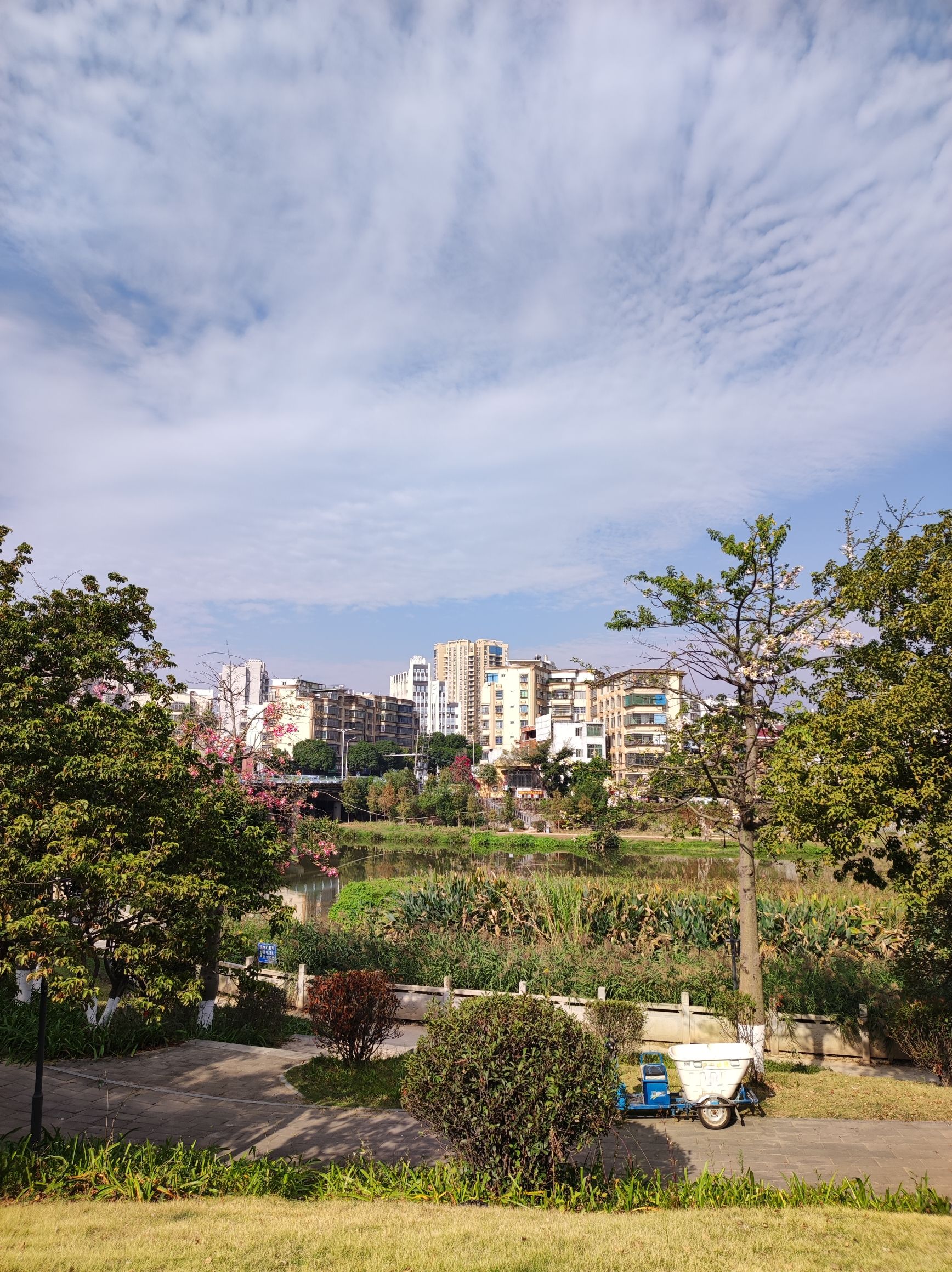 梅山公园旅行图片 3