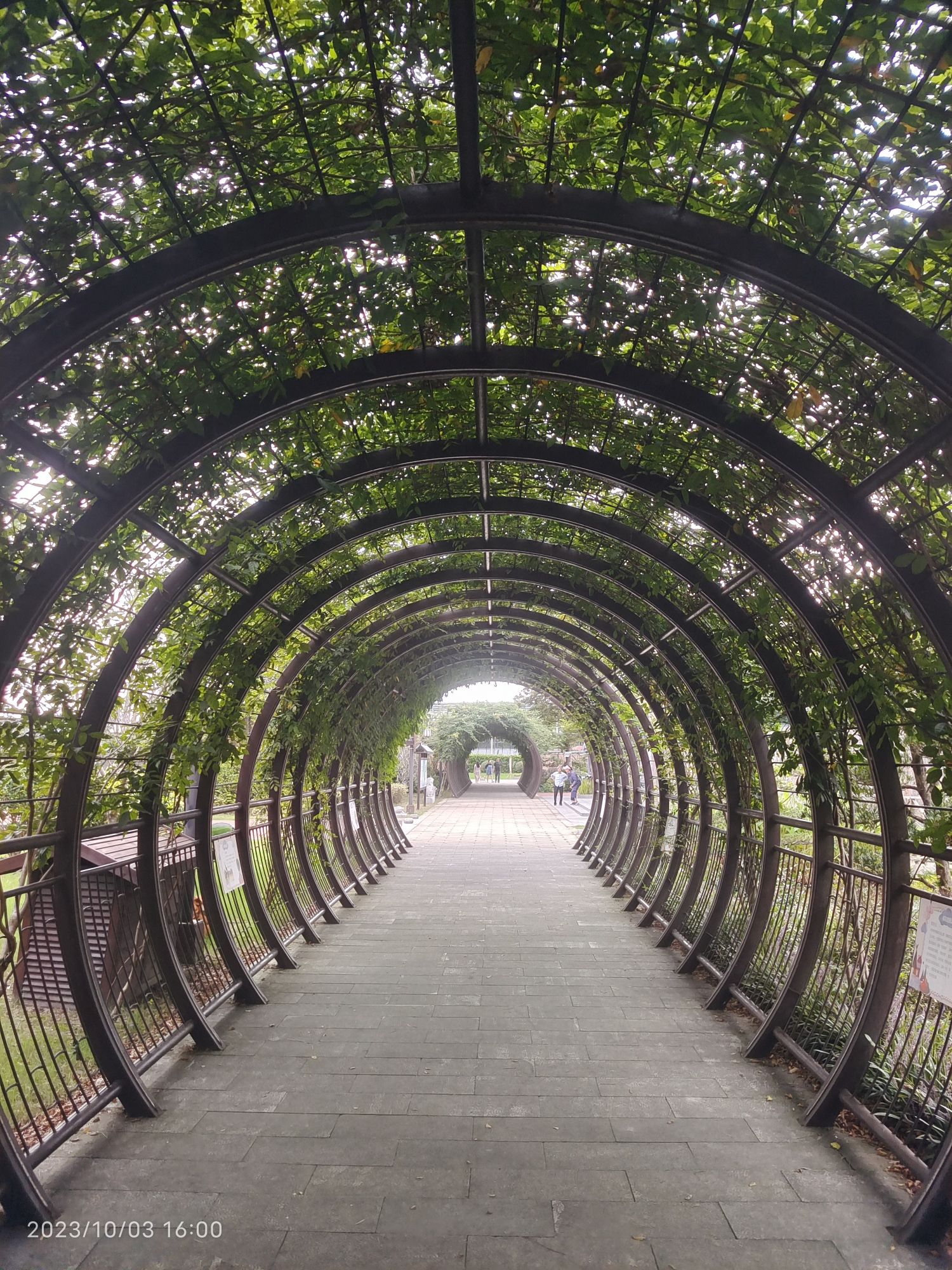 上海吕巷水果公园旅行图片 3