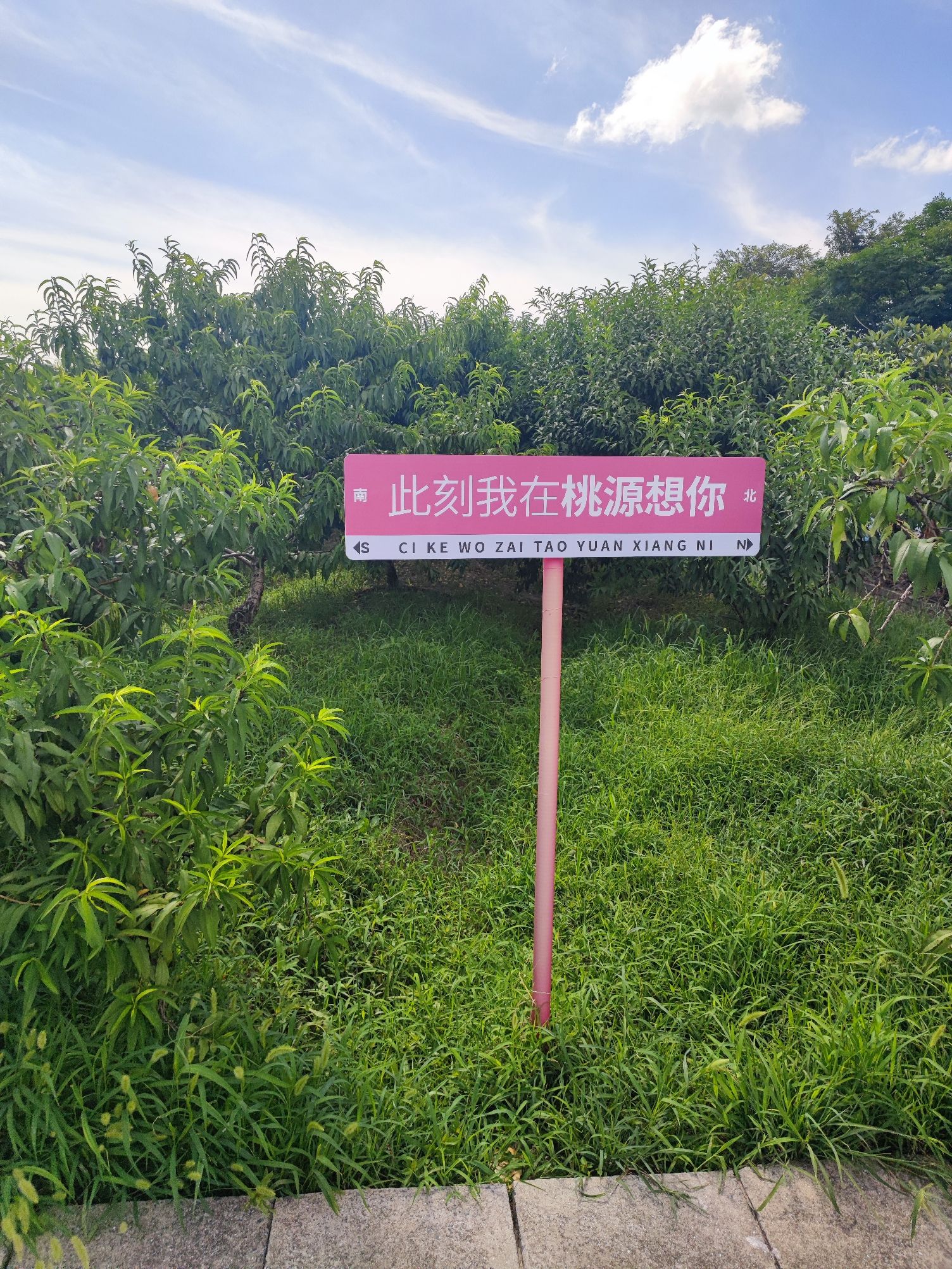 上海吕巷水果公园旅行图片 1