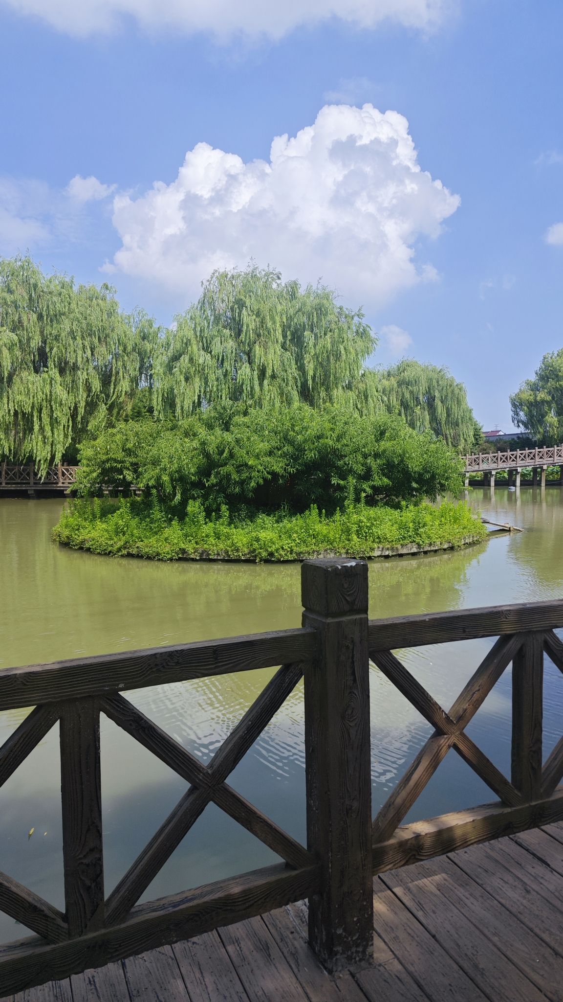 上海吕巷水果公园旅行图片 1