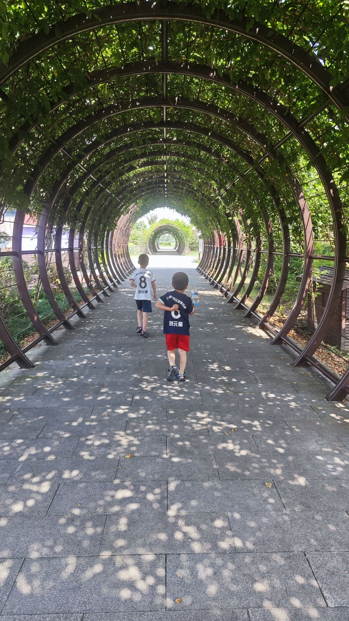 上海吕巷水果公园旅行图片 3