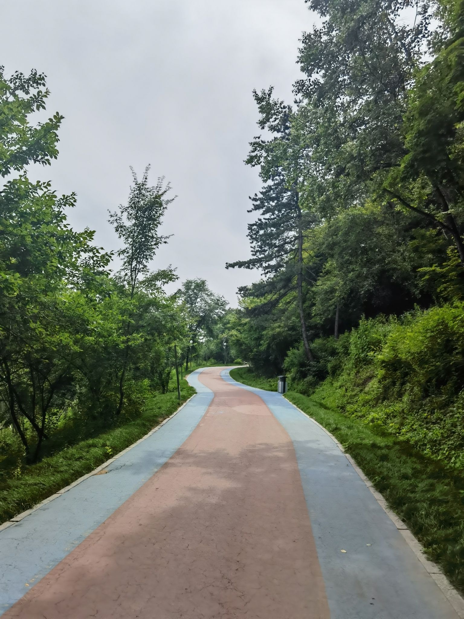 北山公园旅行图片 1
