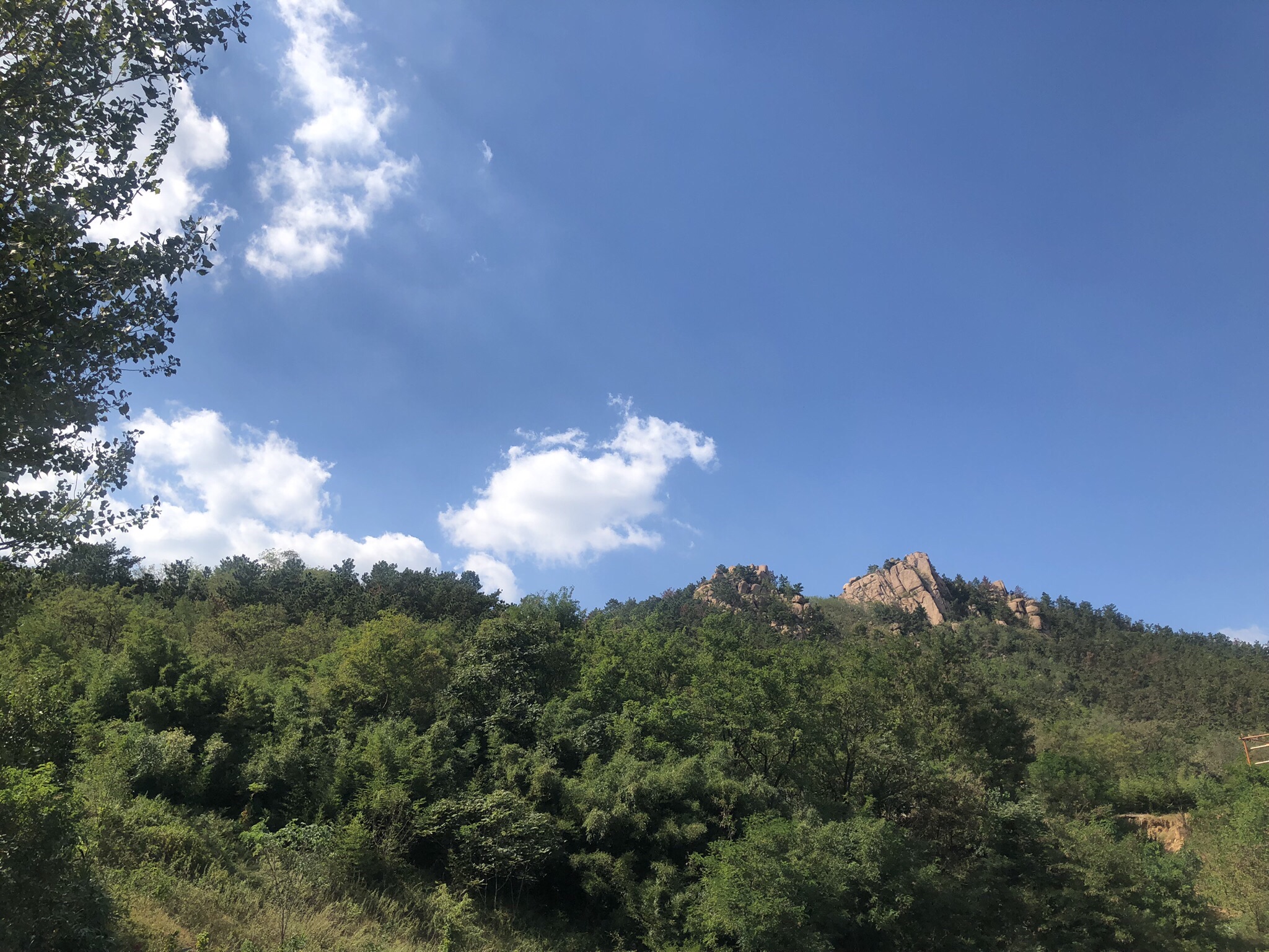 崂山书院旅行图片 3