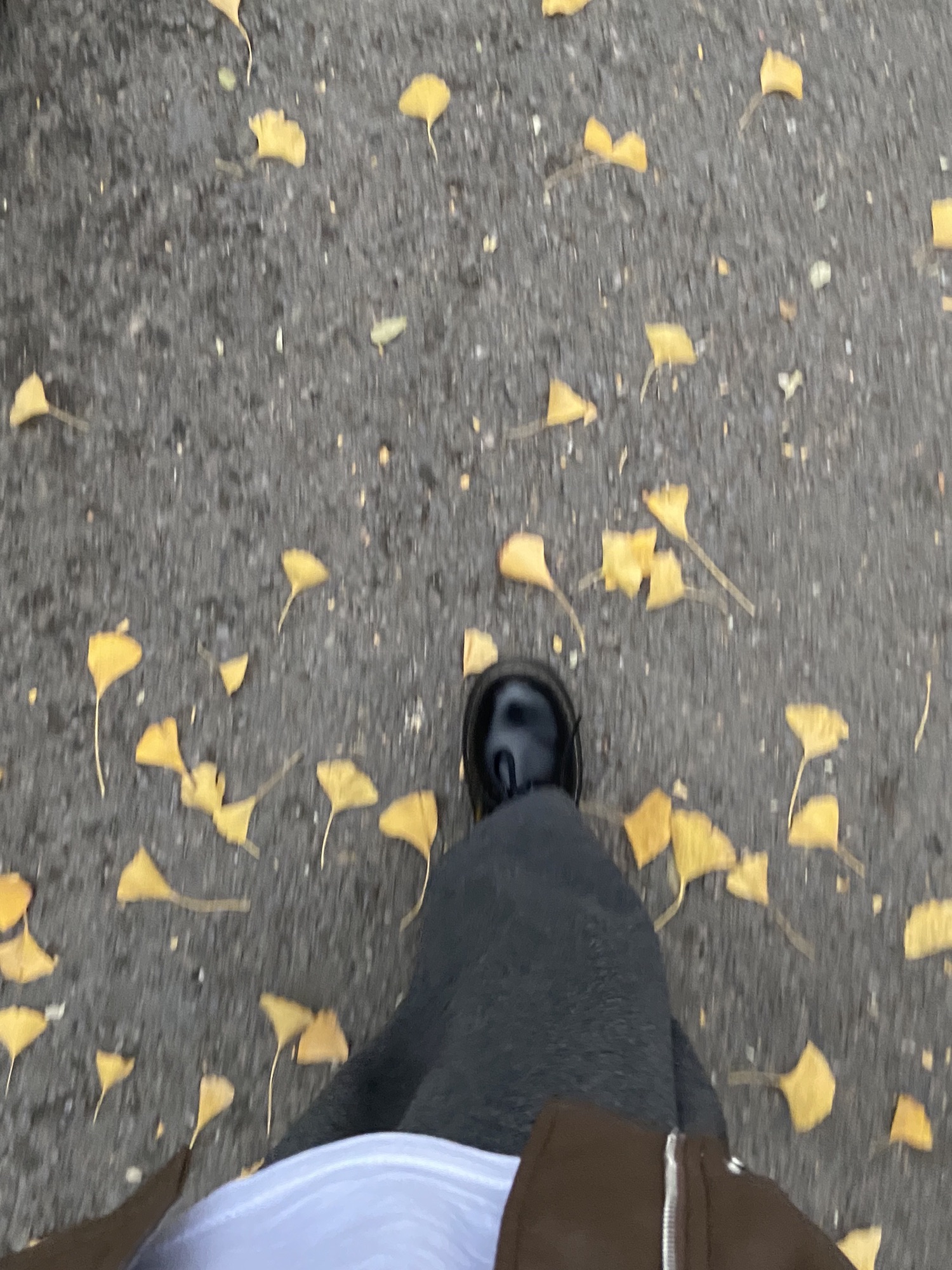 金谷广场旅行图片 2