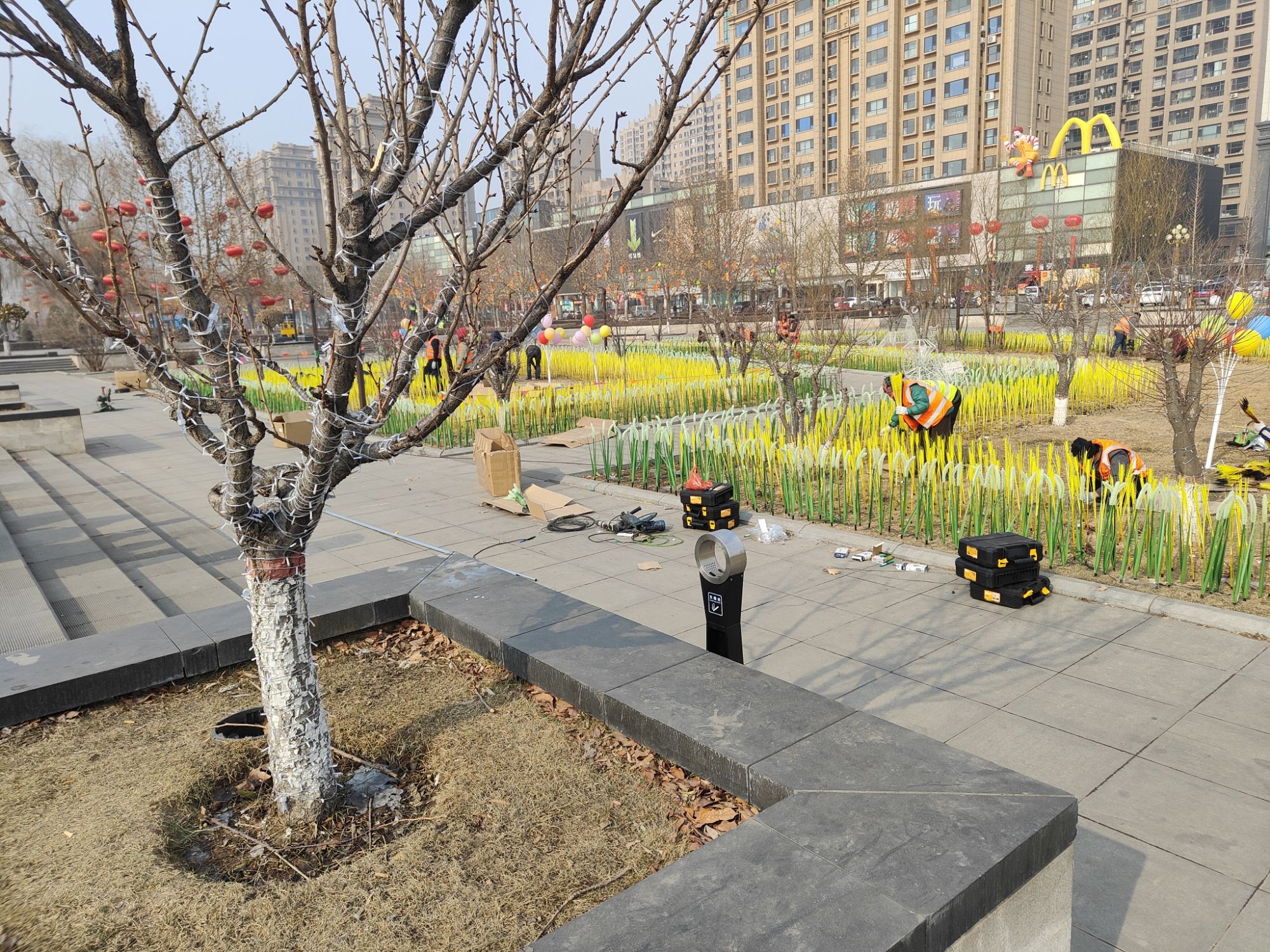 金谷广场旅行图片 3