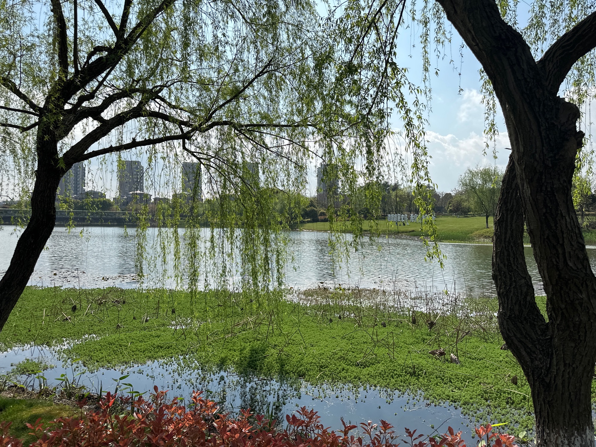 莲塘公园旅行图片 3