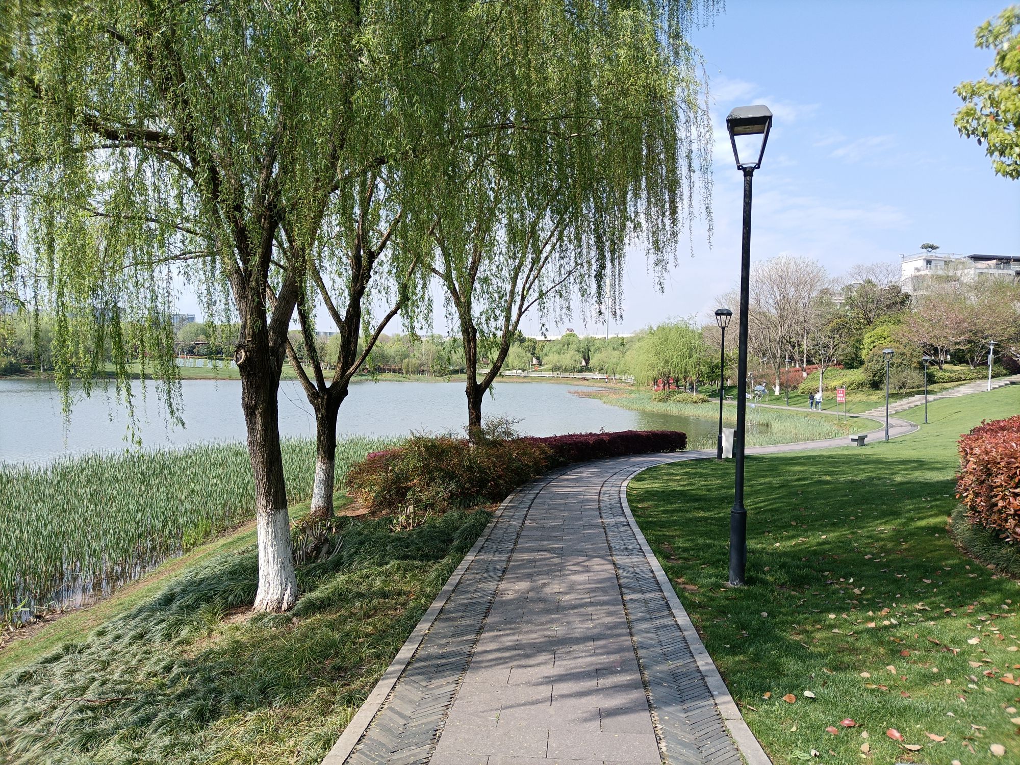 莲塘公园旅行图片 1
