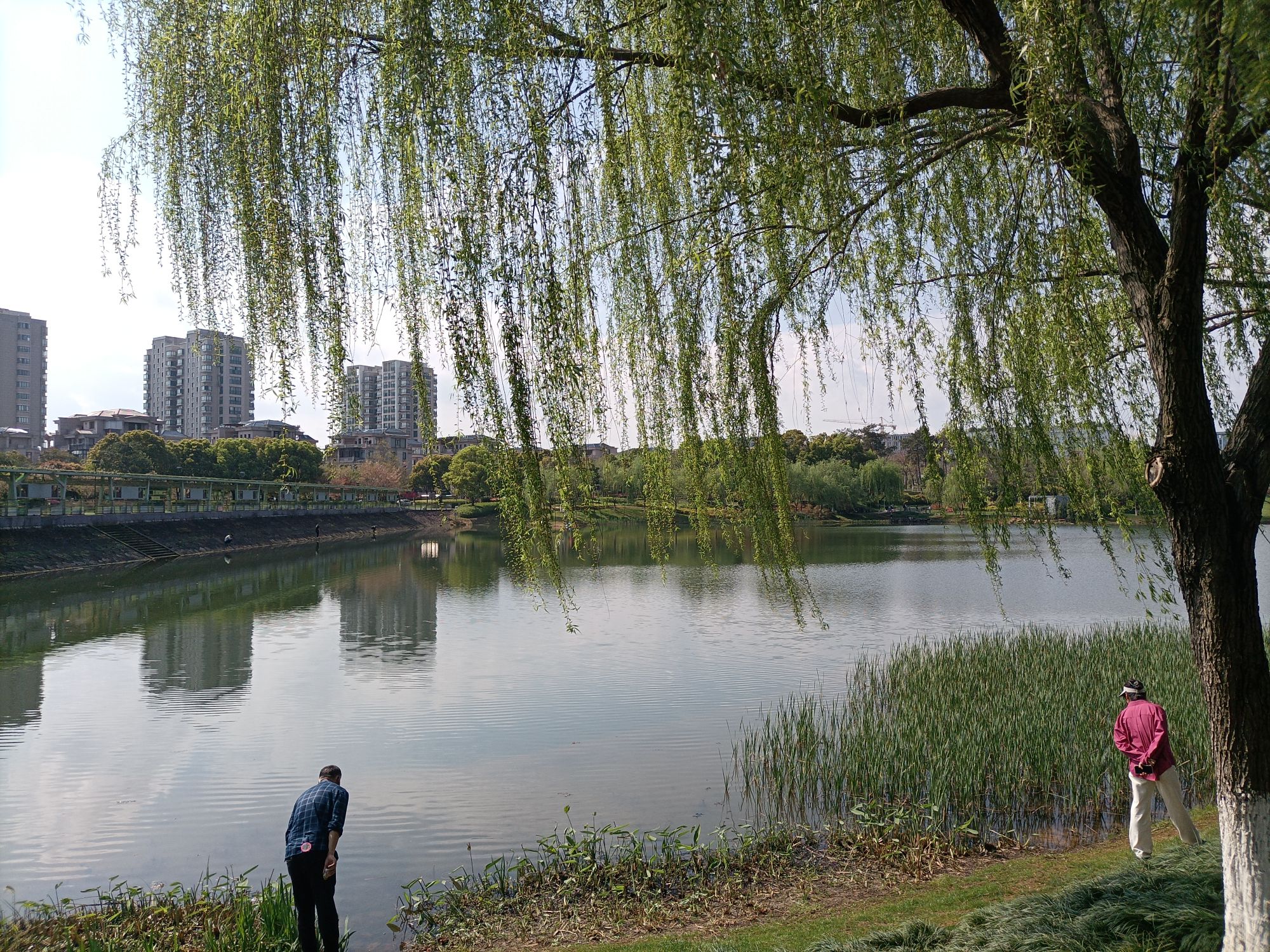 莲塘公园旅行图片 3