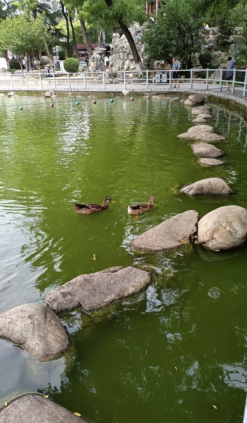 莲塘公园旅行图片 1