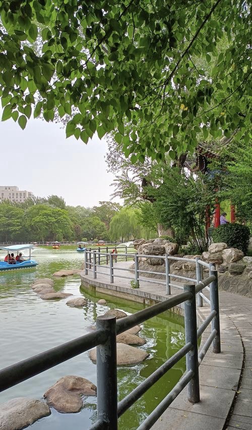 莲塘公园旅行图片 3