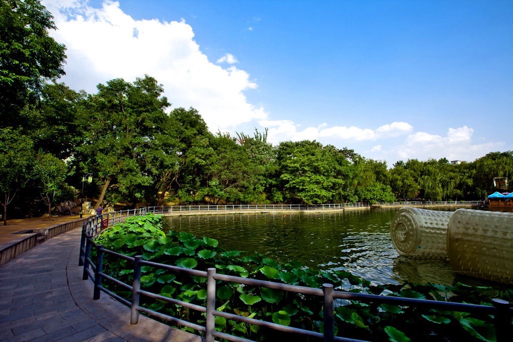 莲塘公园旅行图片 2