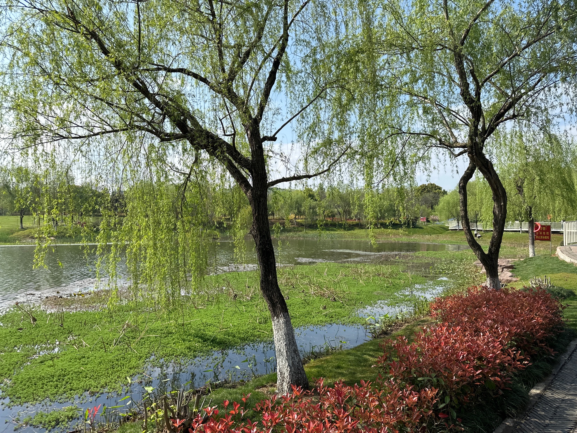 莲塘公园旅行图片 1