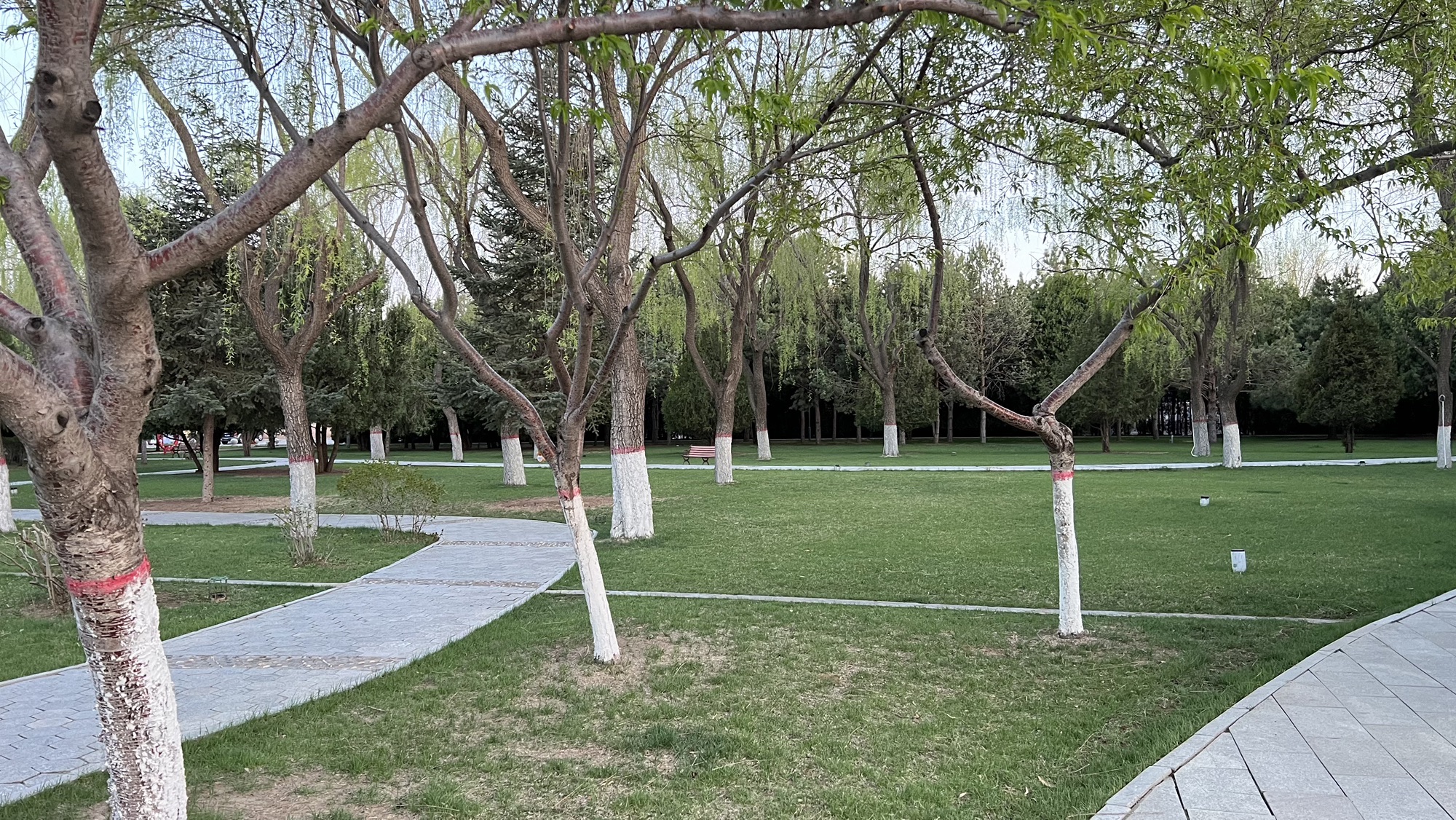 独贵龙广场旅行图片 2