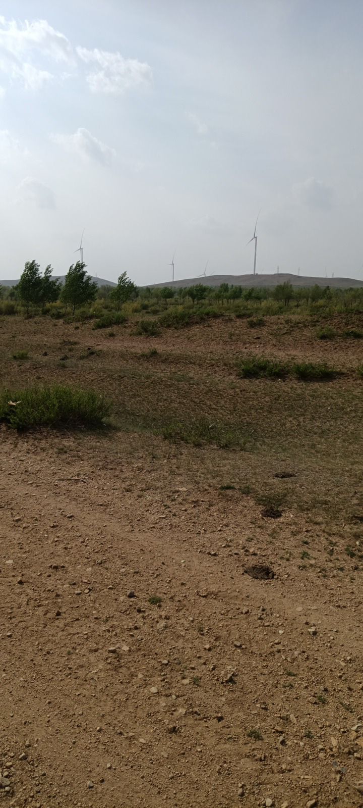 成吉思汗边墙旅行图片 1