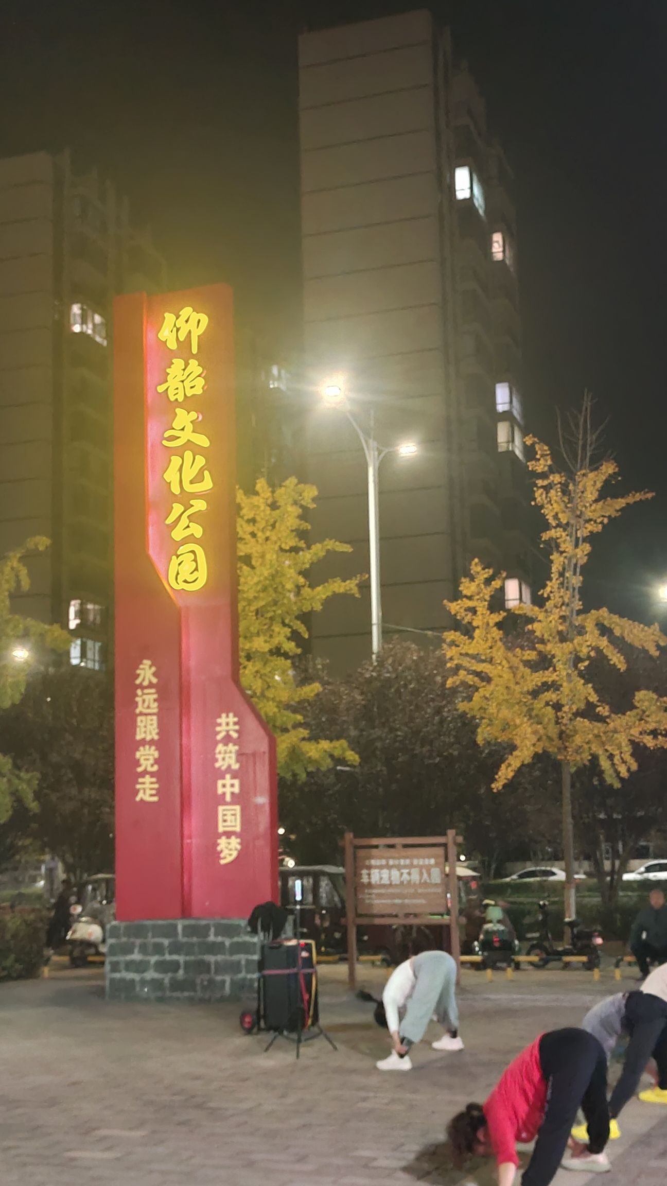 仰韶文化公园旅行图片 2