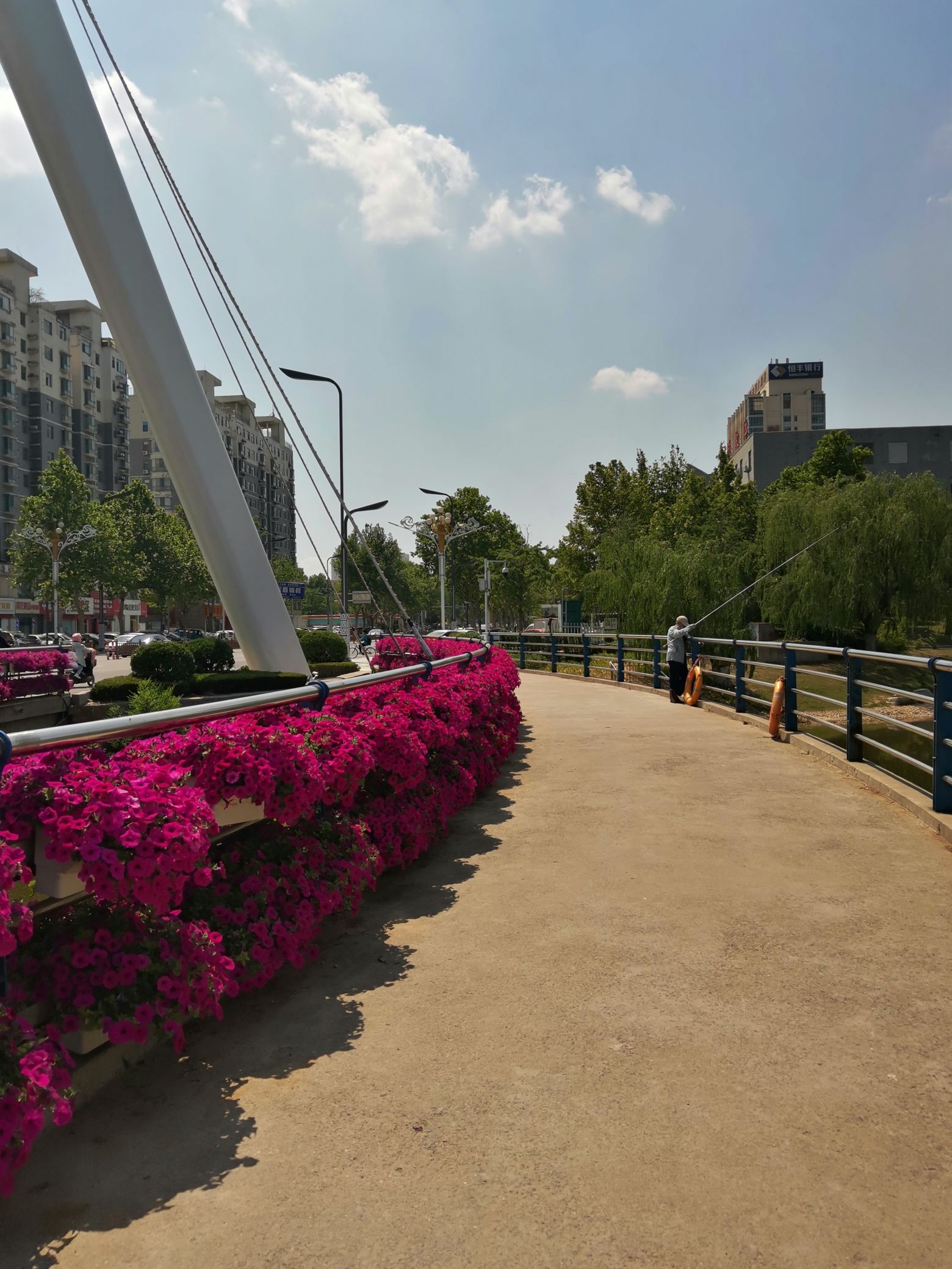 糖城新湖公园旅行图片 2