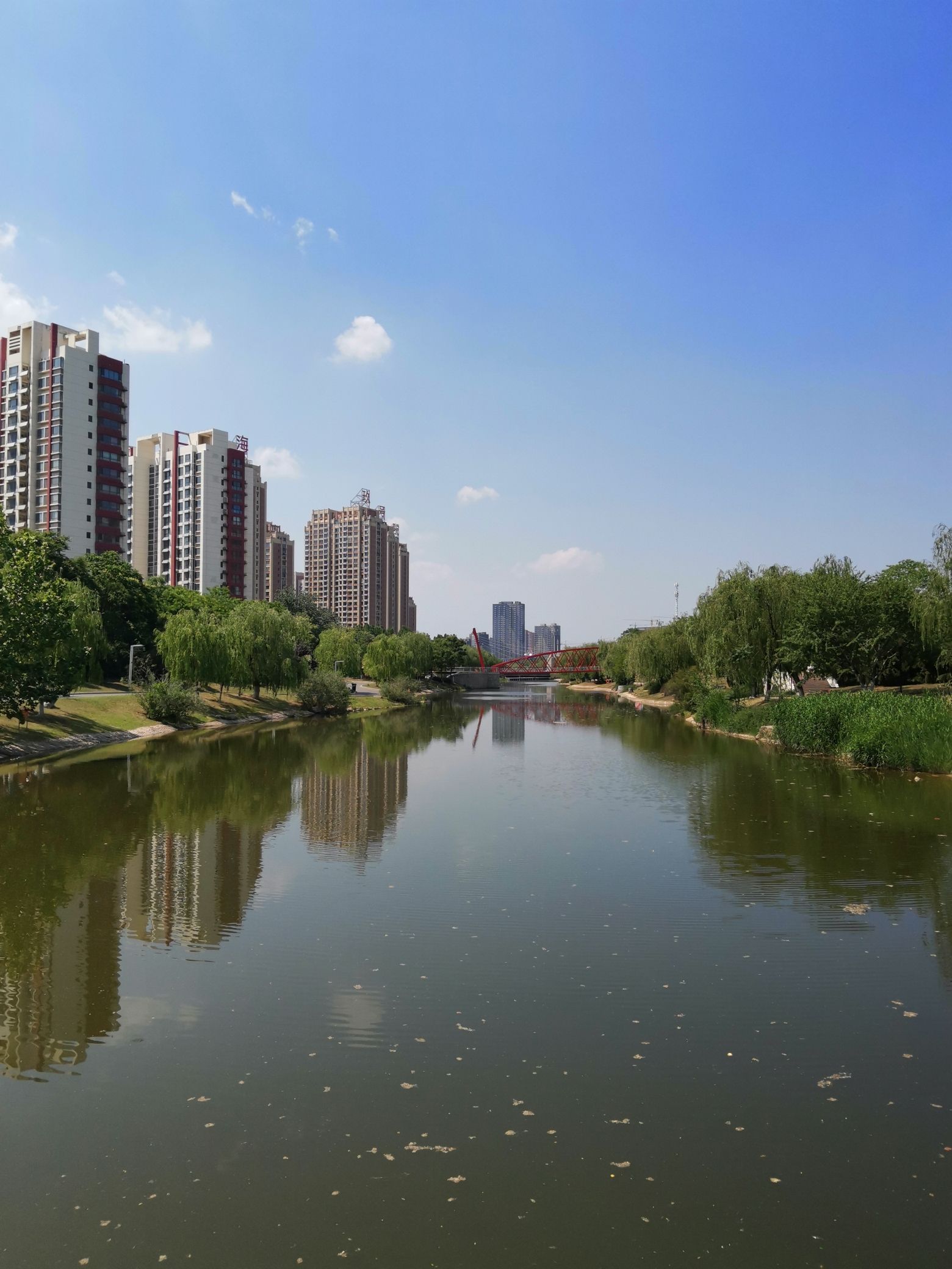糖城新湖公园旅行图片 3