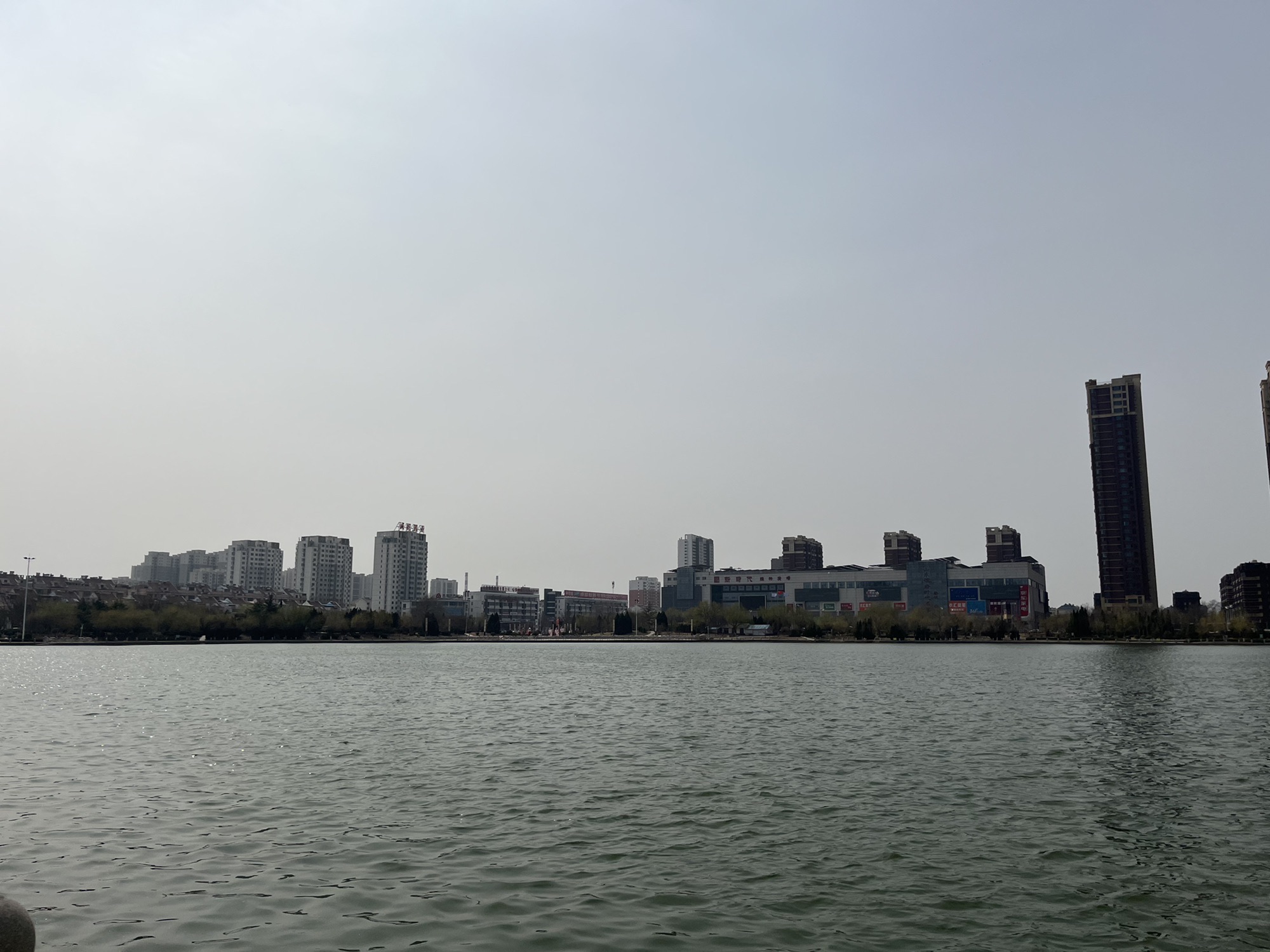 糖城新湖公园旅行图片 1