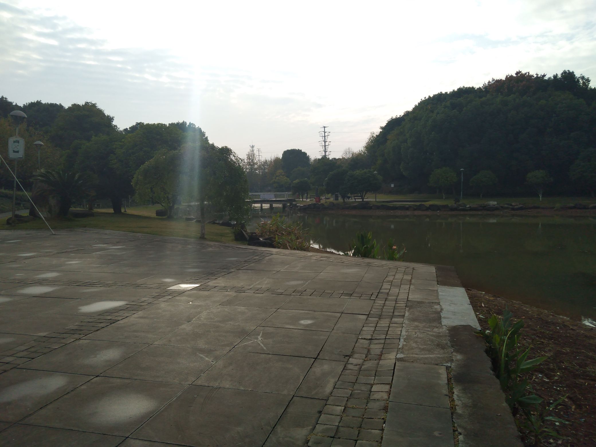 荷叶塘公园旅行图片 1