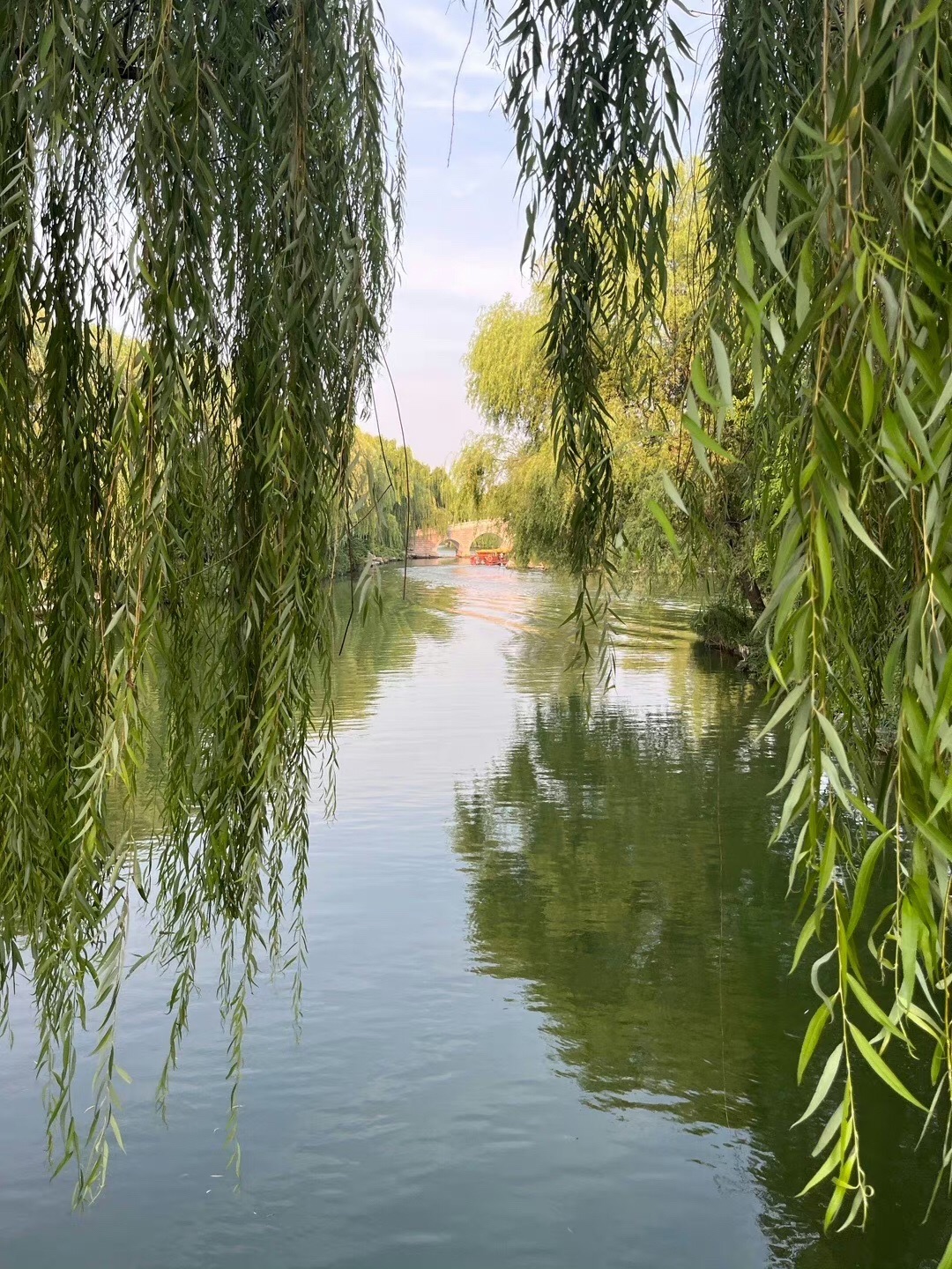 荷叶塘公园旅行图片 2