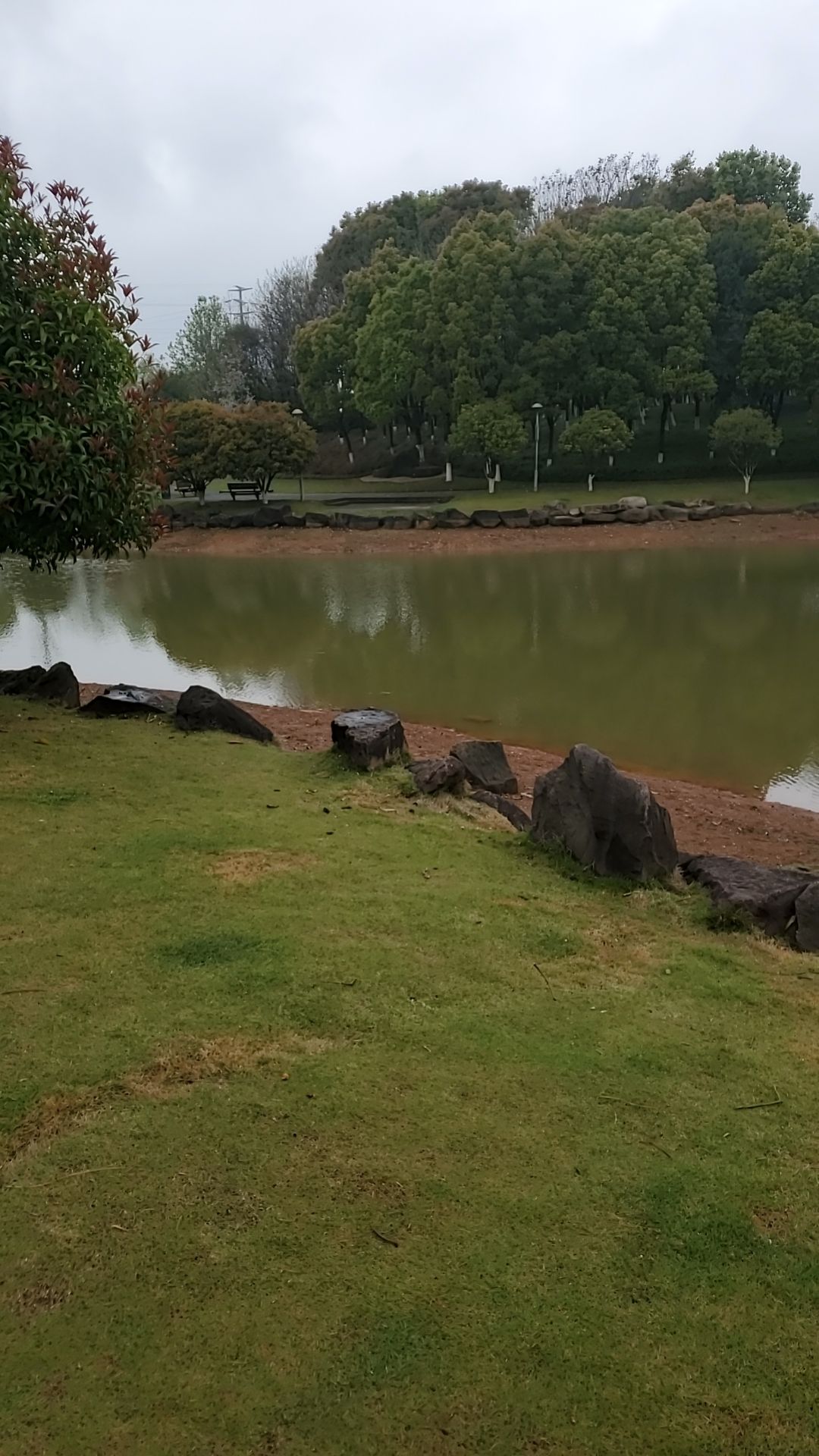 荷叶塘公园旅行图片 1