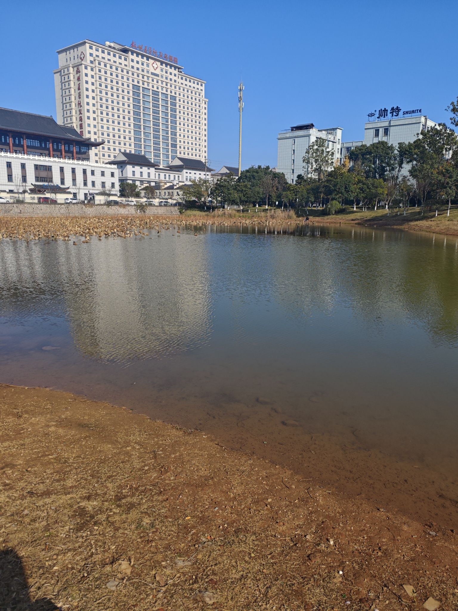荷叶塘公园旅行图片 1