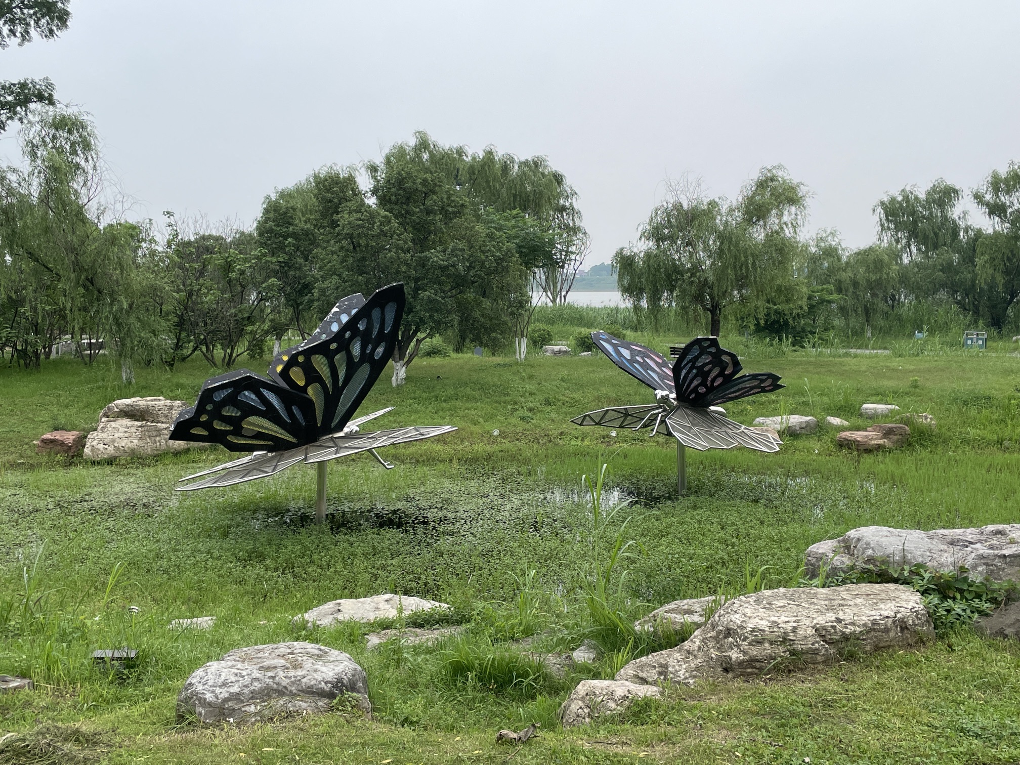 巴溪洲旅行图片 3