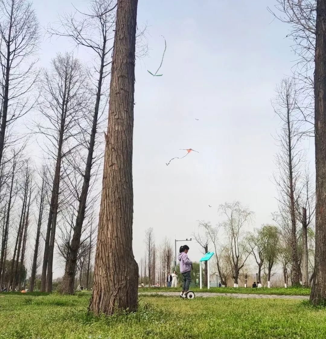巴溪洲旅行图片 3