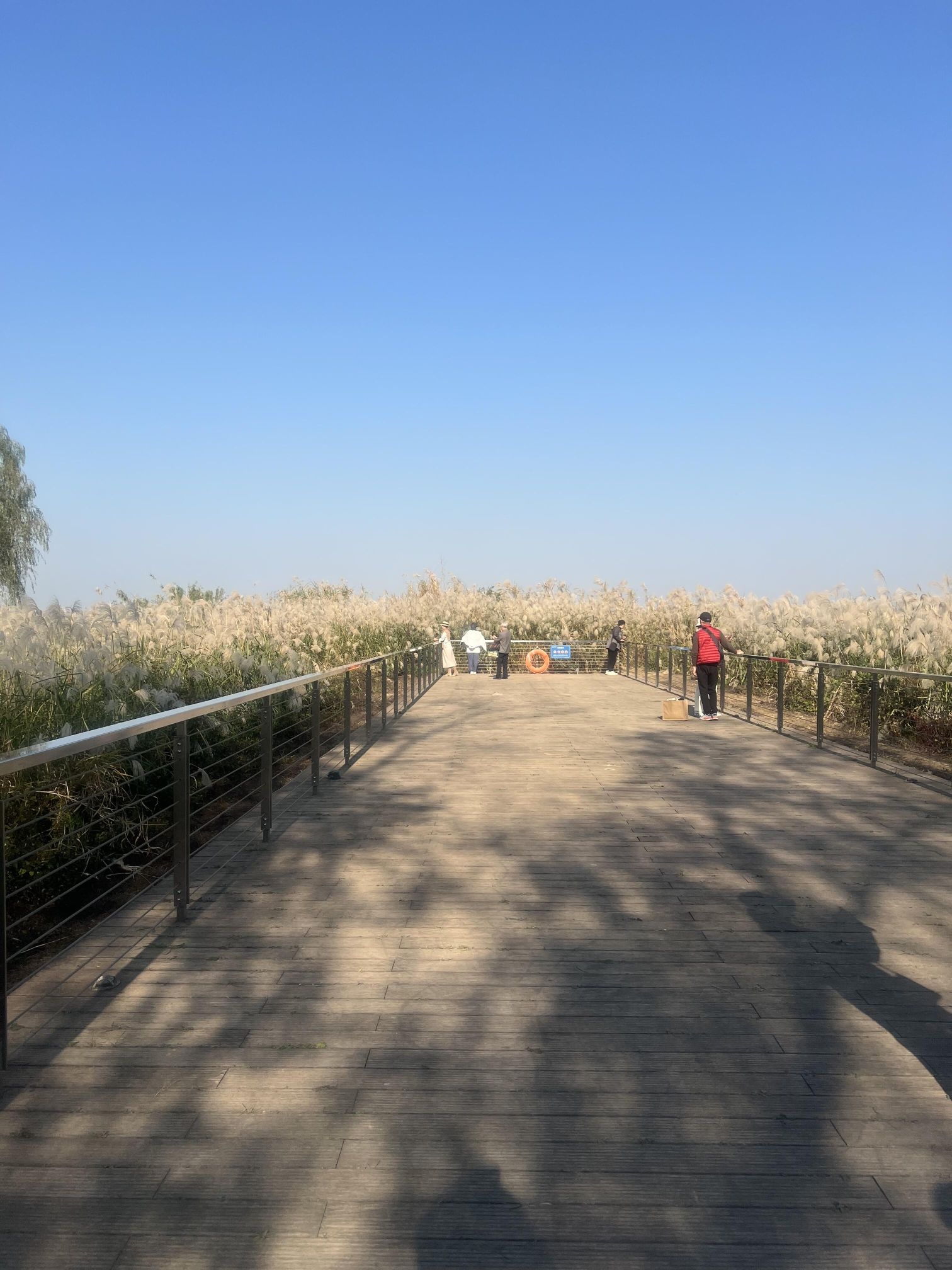 巴溪洲旅行图片 1