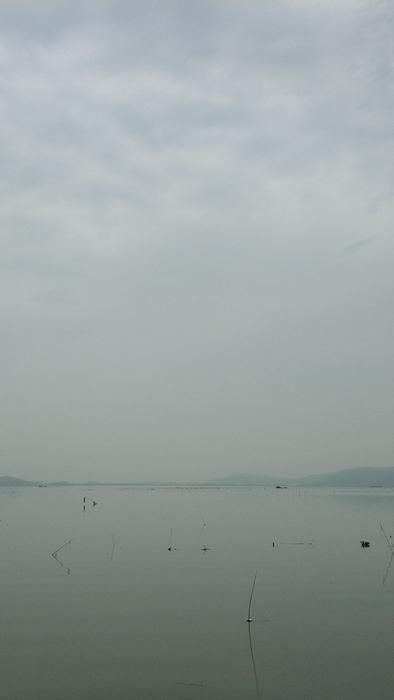 竺山湖湿地旅行图片 2