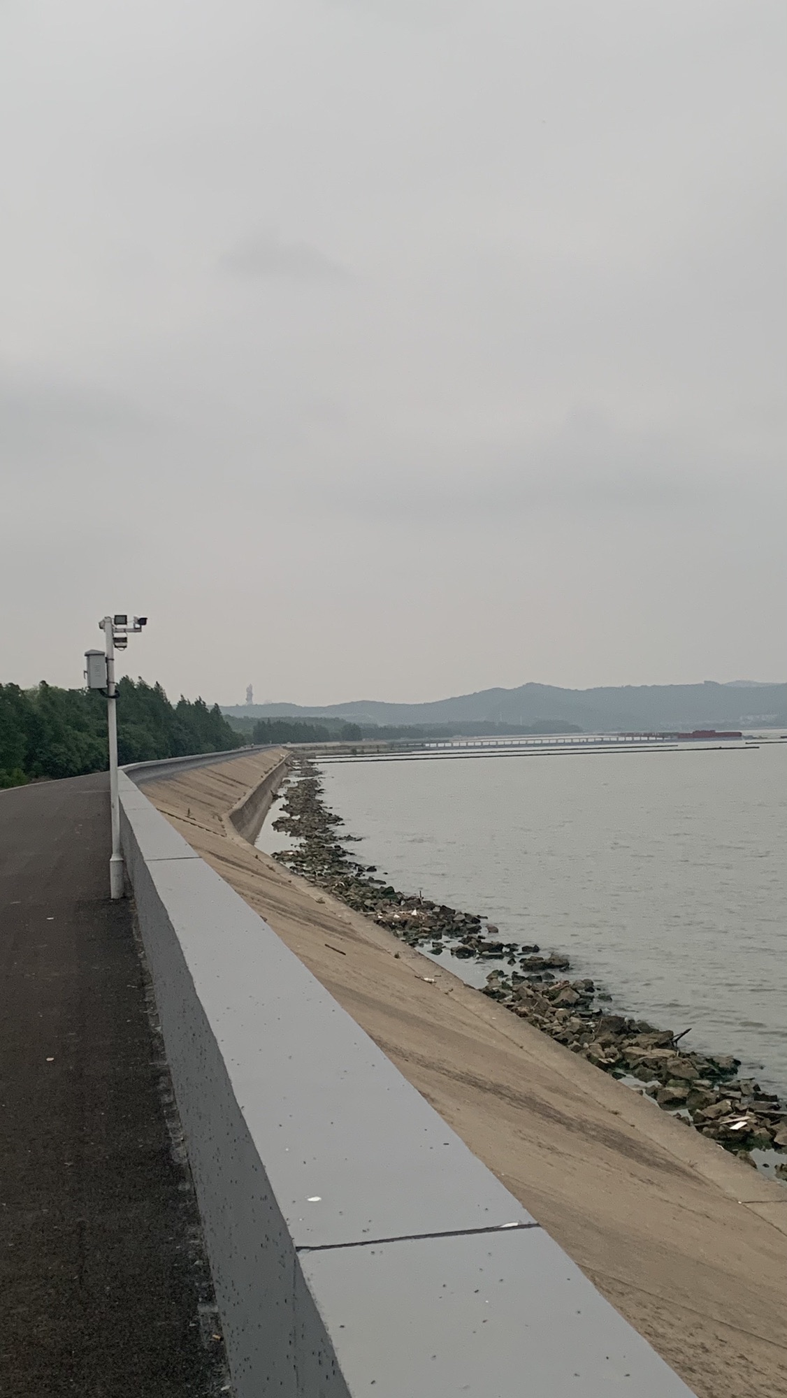 竺山湖湿地旅行图片 3
