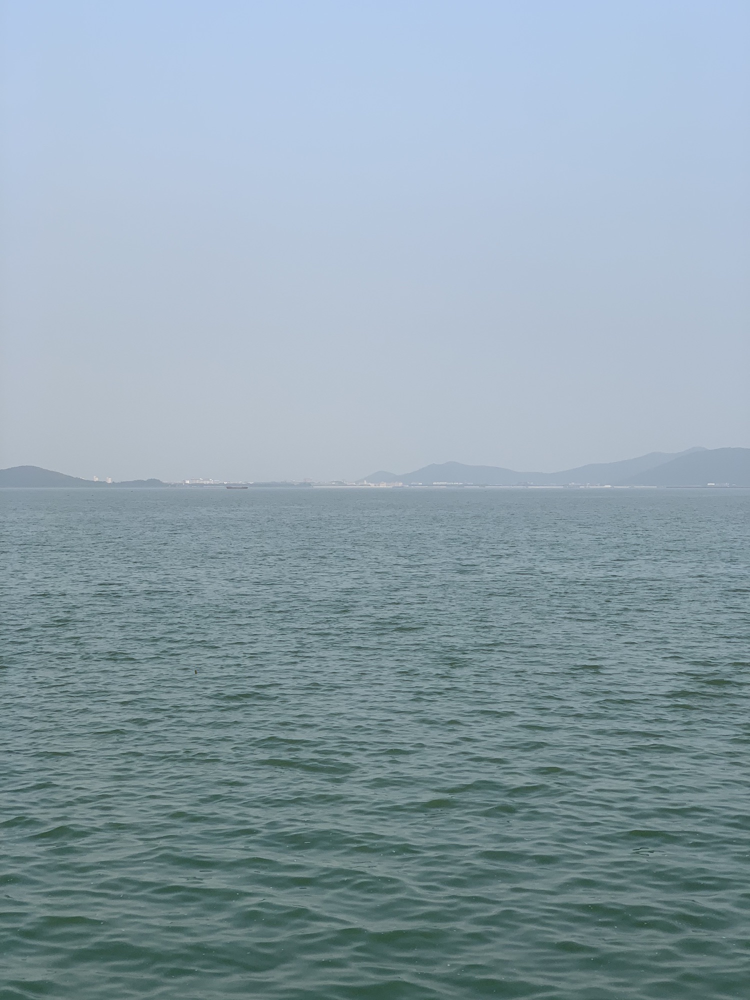 竺山湖湿地旅行图片 1